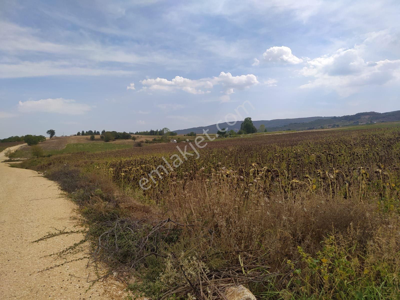 Yenişehir Karaamca Satılık Tarla Yenişehir Karaamcada Yolu Ve Suyu Olan Satilik Tarla