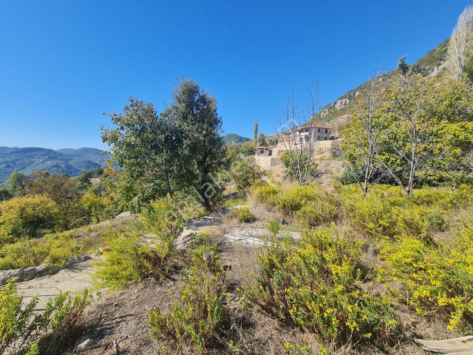 Alanya Bademağacı Satılık Tarla 836 M2 SATILIK KÖY YERLEŞİM YERİ 