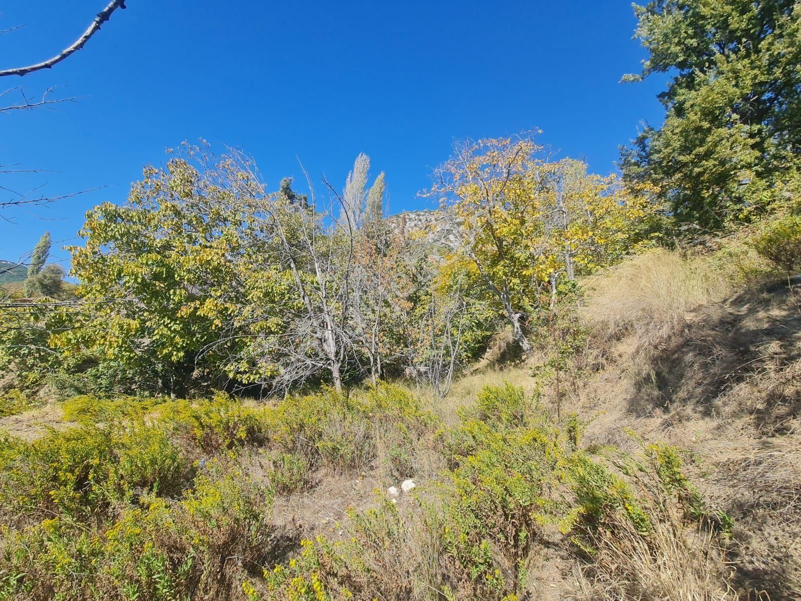 836 M2 Satılık Köy Yerleşim Yeri - Görsel 5