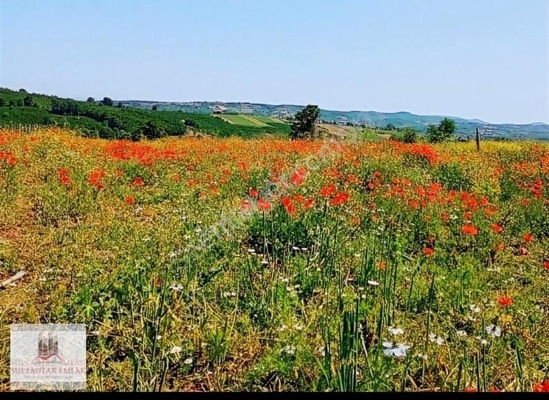 İzmit Ambarcı Satılık Tarla Kocaeli İzmit Ambarcı Köyünde Satılık Tarla 1120 M