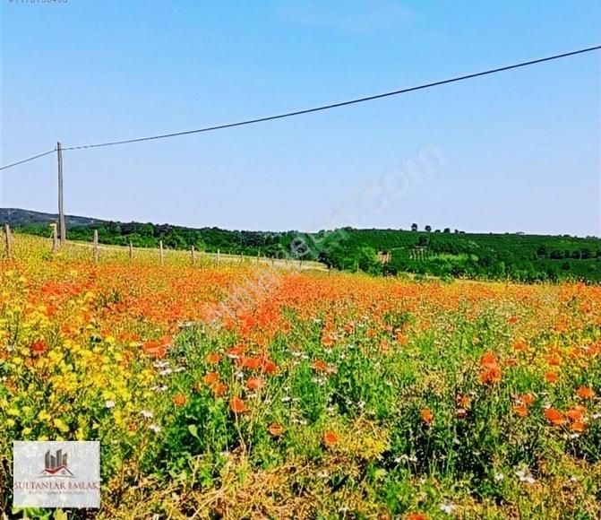 Kocaeli İzmit Ambarcı Köyünde Satılık Tarla 1120 M - Görsel 5