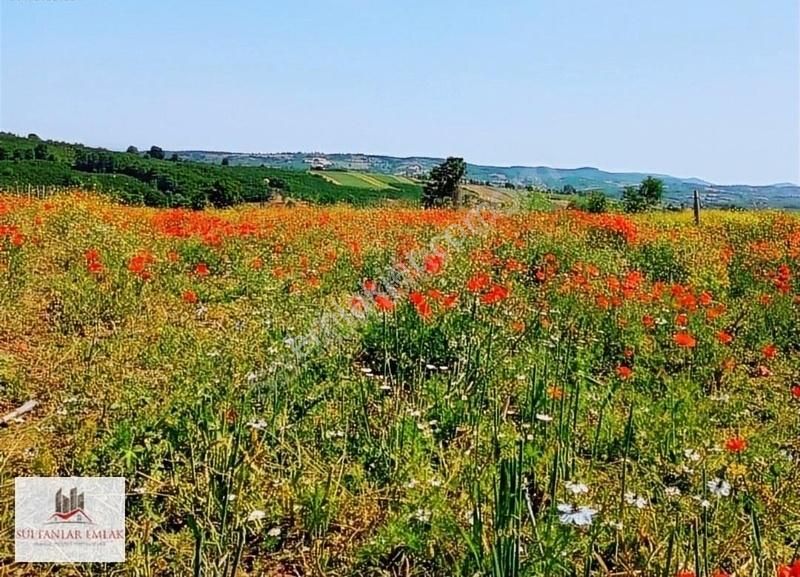 Kocaeli İzmit Ambarcı Köyünde Satılık Tarla 1120 M - Görsel 7