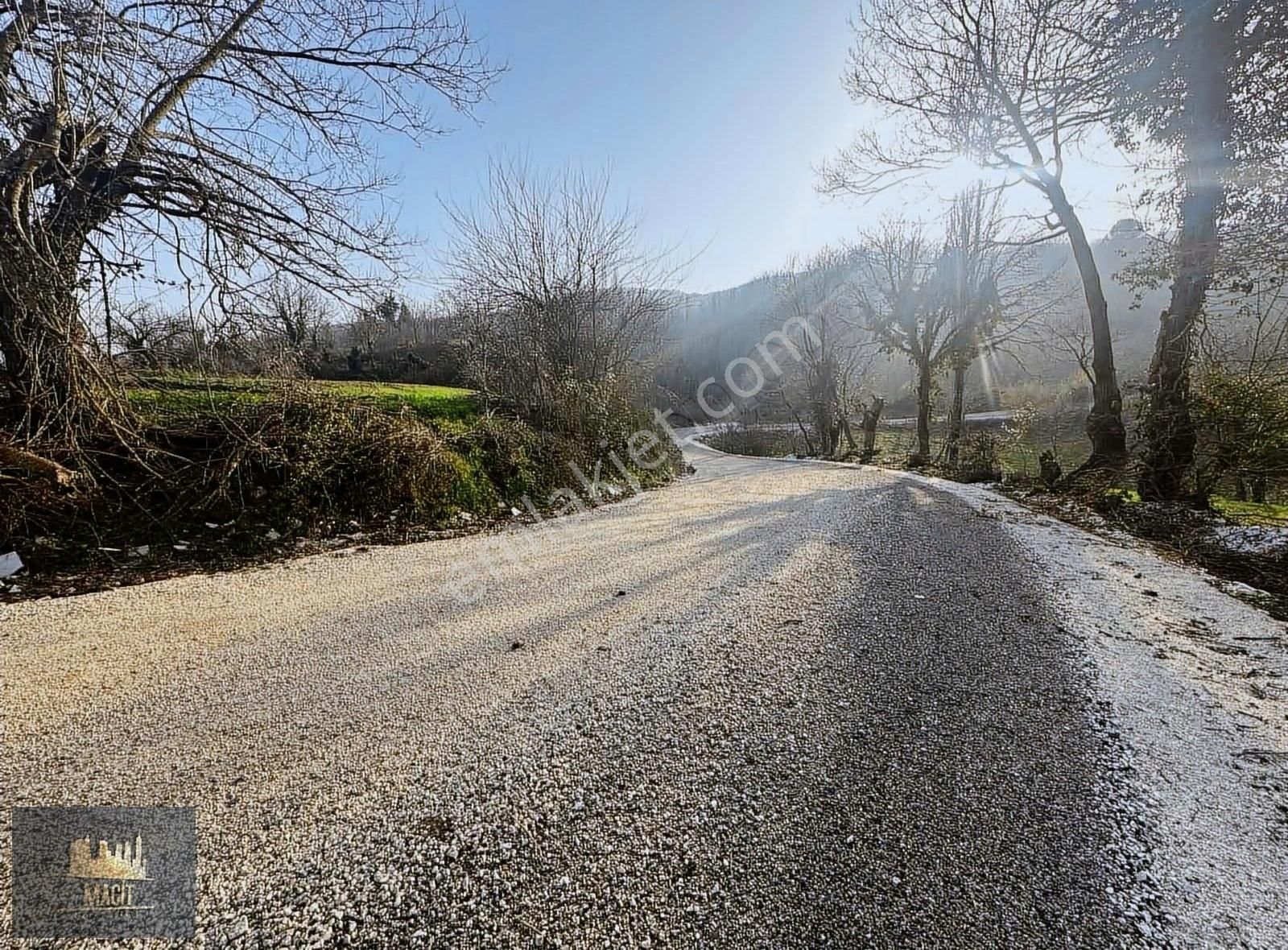 Mustafakemalpaşa Yenice Satılık Bağ & Bahçe MACİT' GAYRİMENKUL'DEN KEMALPAŞADA 590 M2 TEK TAPU BAHÇE