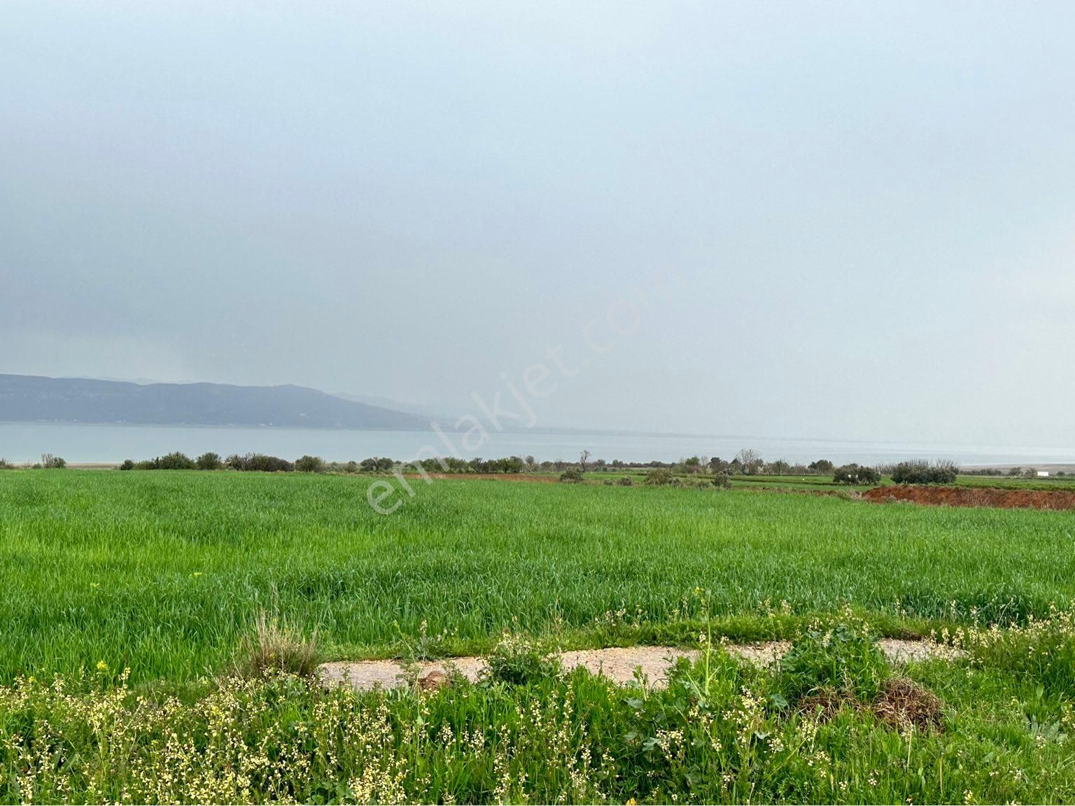 Burdur Merkez İlyas Köyü (Çay) Satılık Tarla İlyas Köyünün En Güzel Parseli