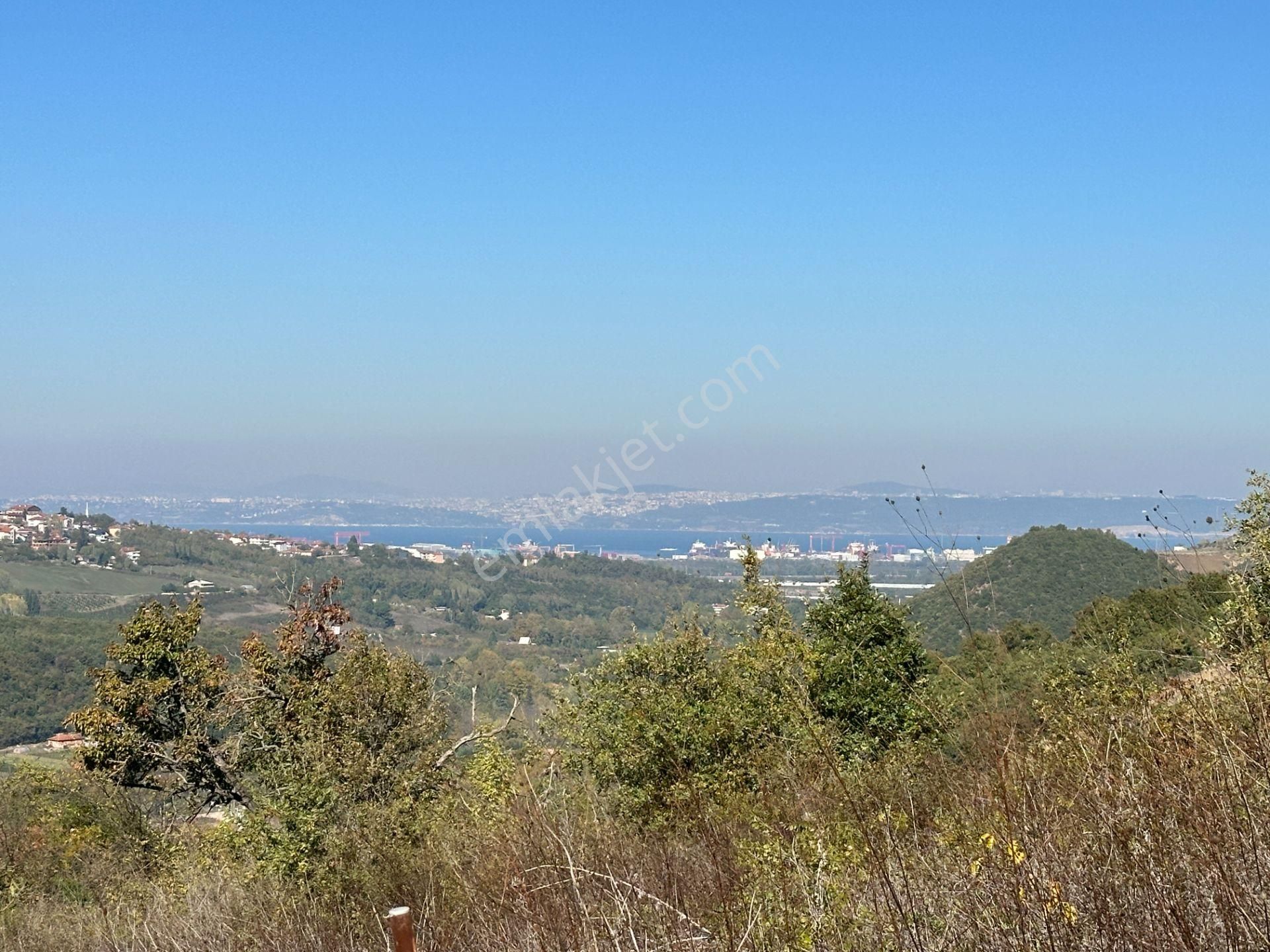 Altınova Soğuksu Köyü Satılık Tarla  YALOVA ALTINOVA AYAZMA DENİZ MANZARALI SATILIK 11683 M2 TEK TAPU