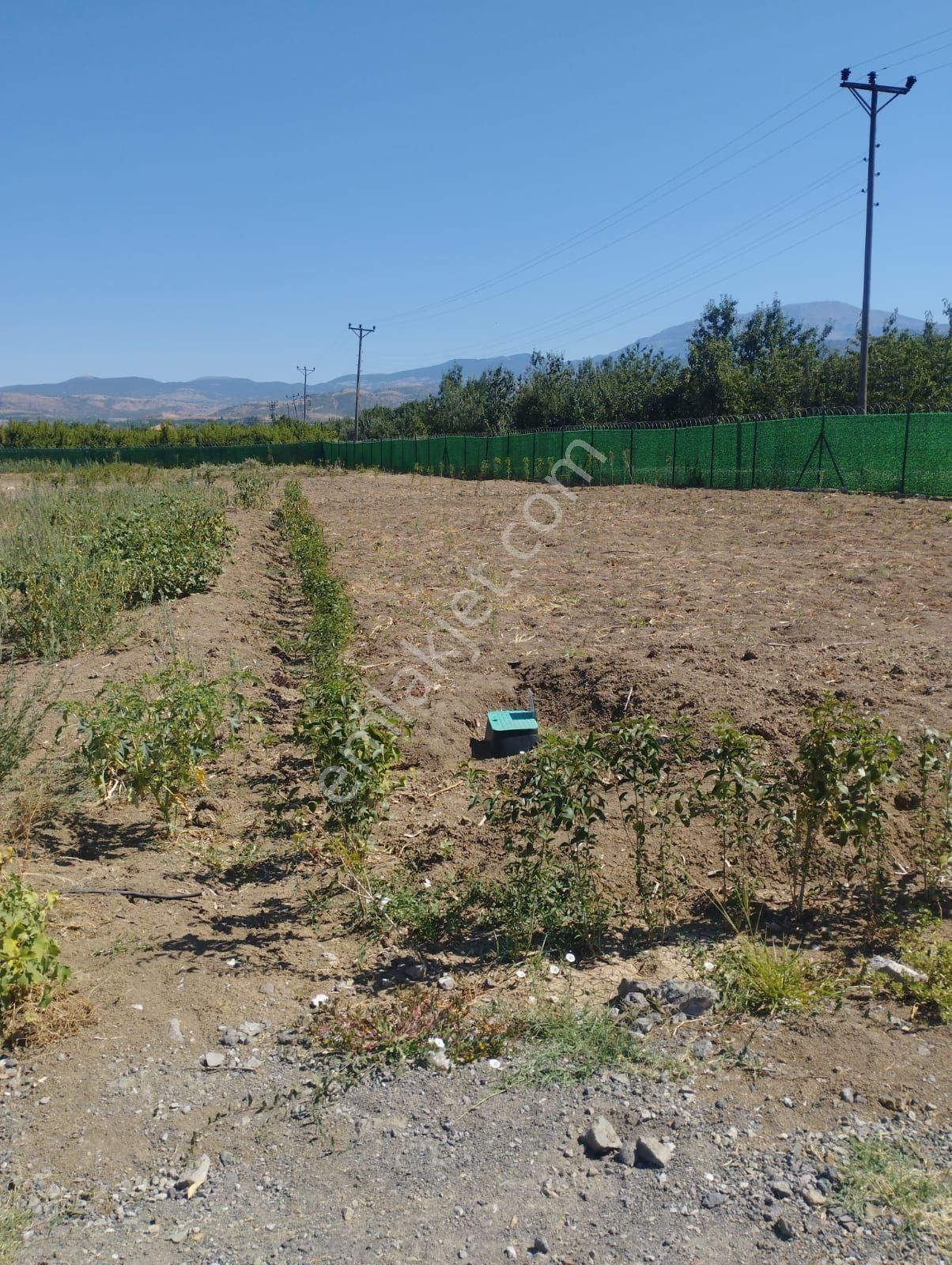 Amasya Suluova Harmanağılı 500 M2 Satılık Kooperatif Hissesi - Görsel 3