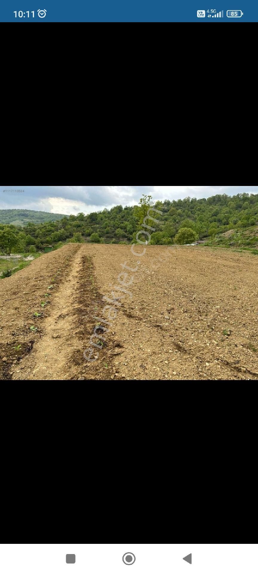 Kestel Nüzhetiye Satılık Bağ & Bahçe Satılık Bağ Bahçe