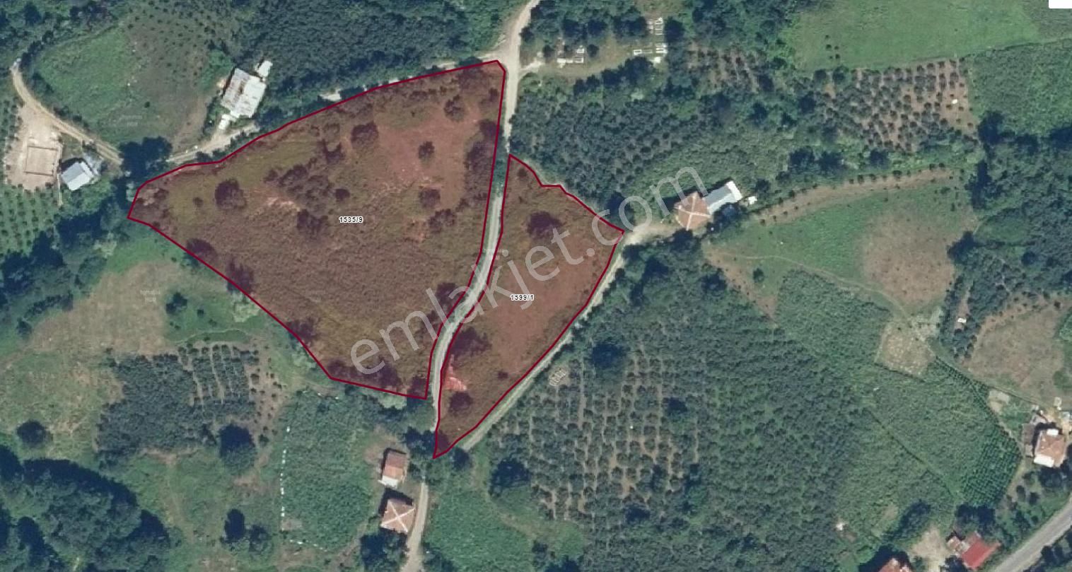 Akkuş Akpınar Satılık Tarla Sahibinden Satılık Ordu/akkuş/akpınar Mah. 9698m² Arazi