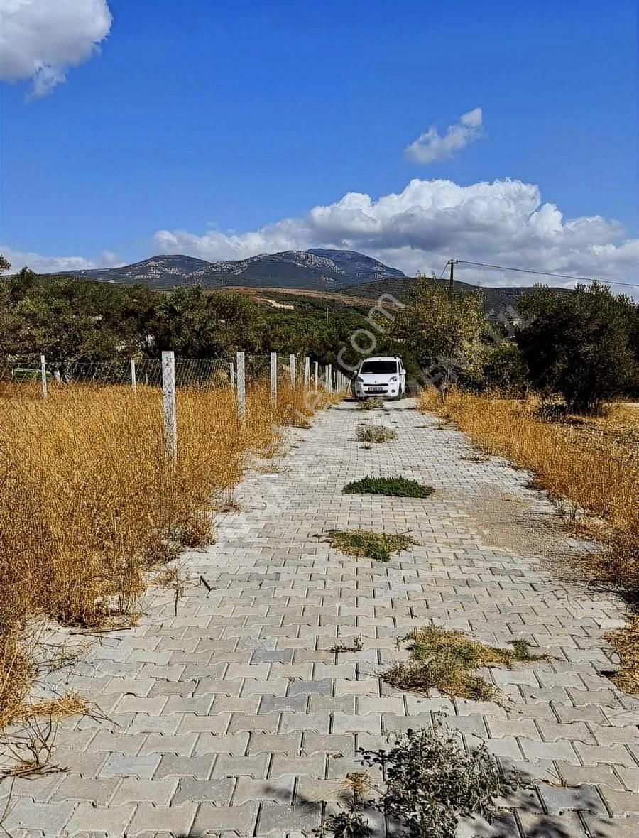 Torbalı Bozköy Satılık Tarla Bozköy Hisse Tapulu