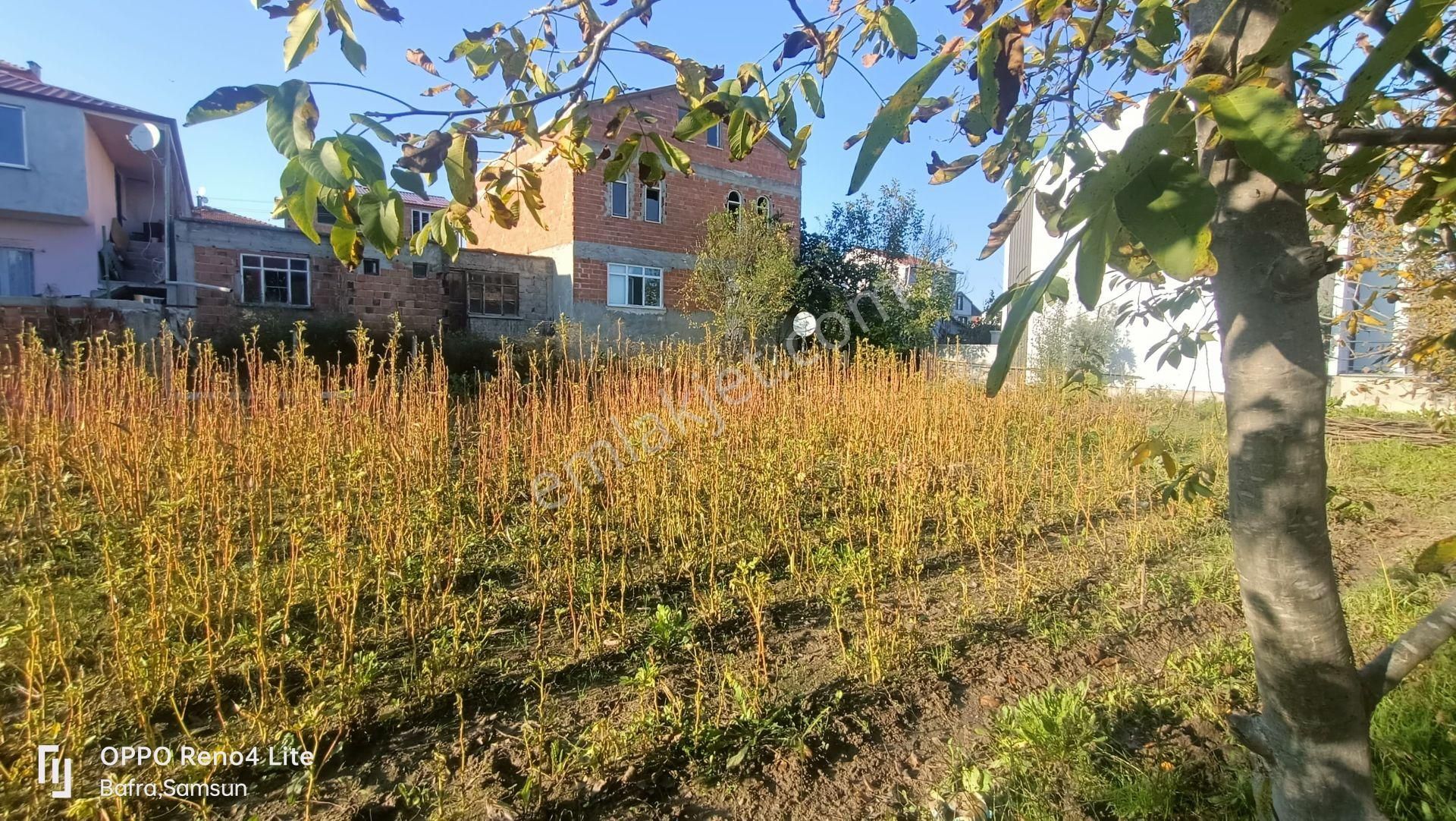 Bafra Gazipaşa Kat Karşılığı Konut İmarlı Geleceğin Projesi İçin Bafra Gaziosmanpaşa Mh. De Kat Karşılığı 705m2 Arsa!