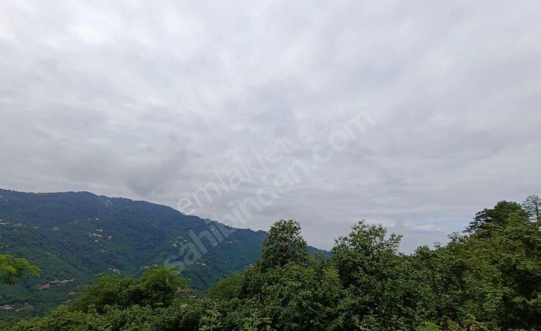 Perşembe Güzelyurt Satılık Bağ & Bahçe PERŞEMBE GÜZEL YURT MAHALLESİ EV YERİ HAZIR SATILIK BAĞ/BAHÇE