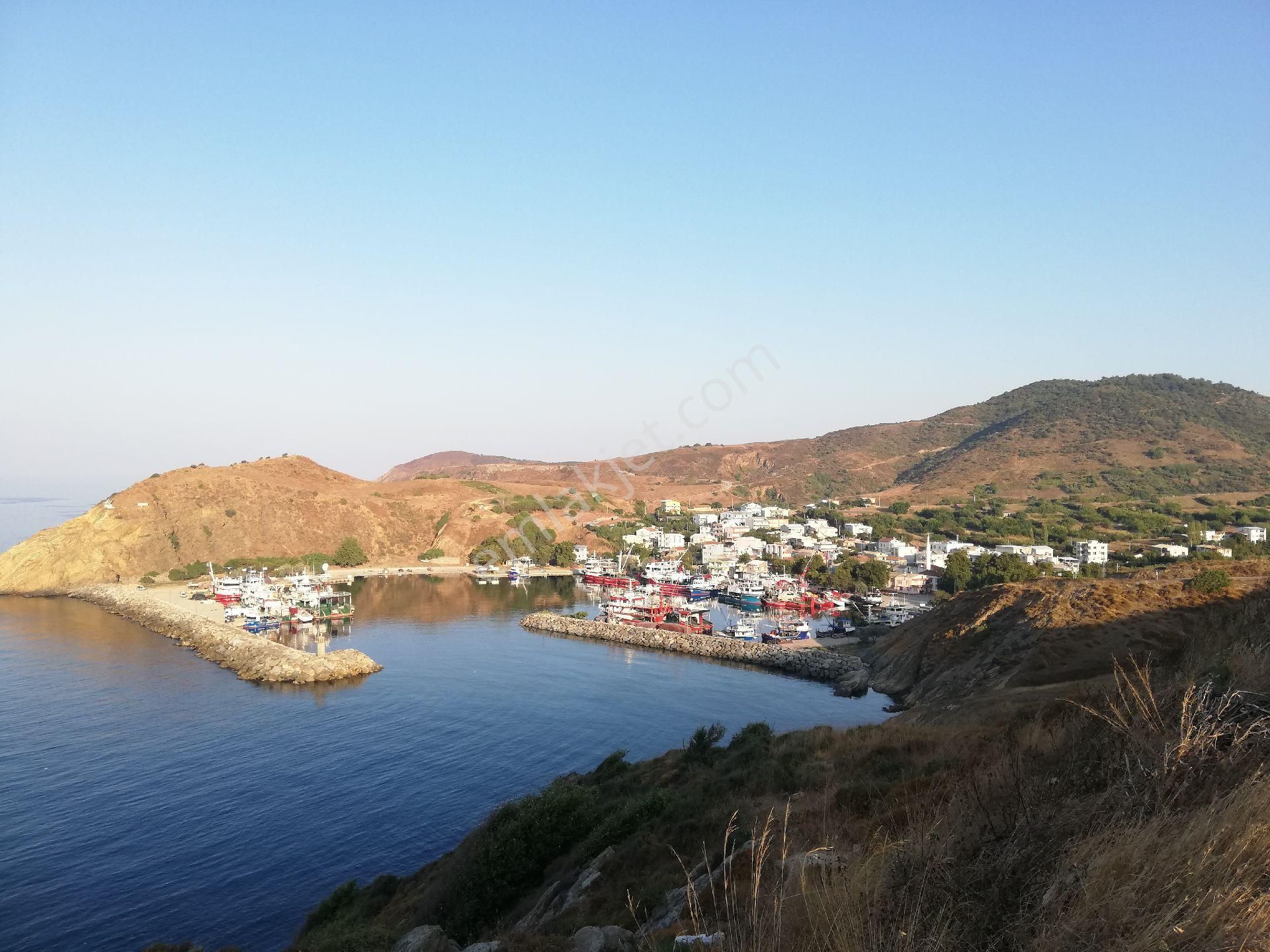 Erdek Kestanelik Satılık Tarla Denize 300 metre harika bir bahçe