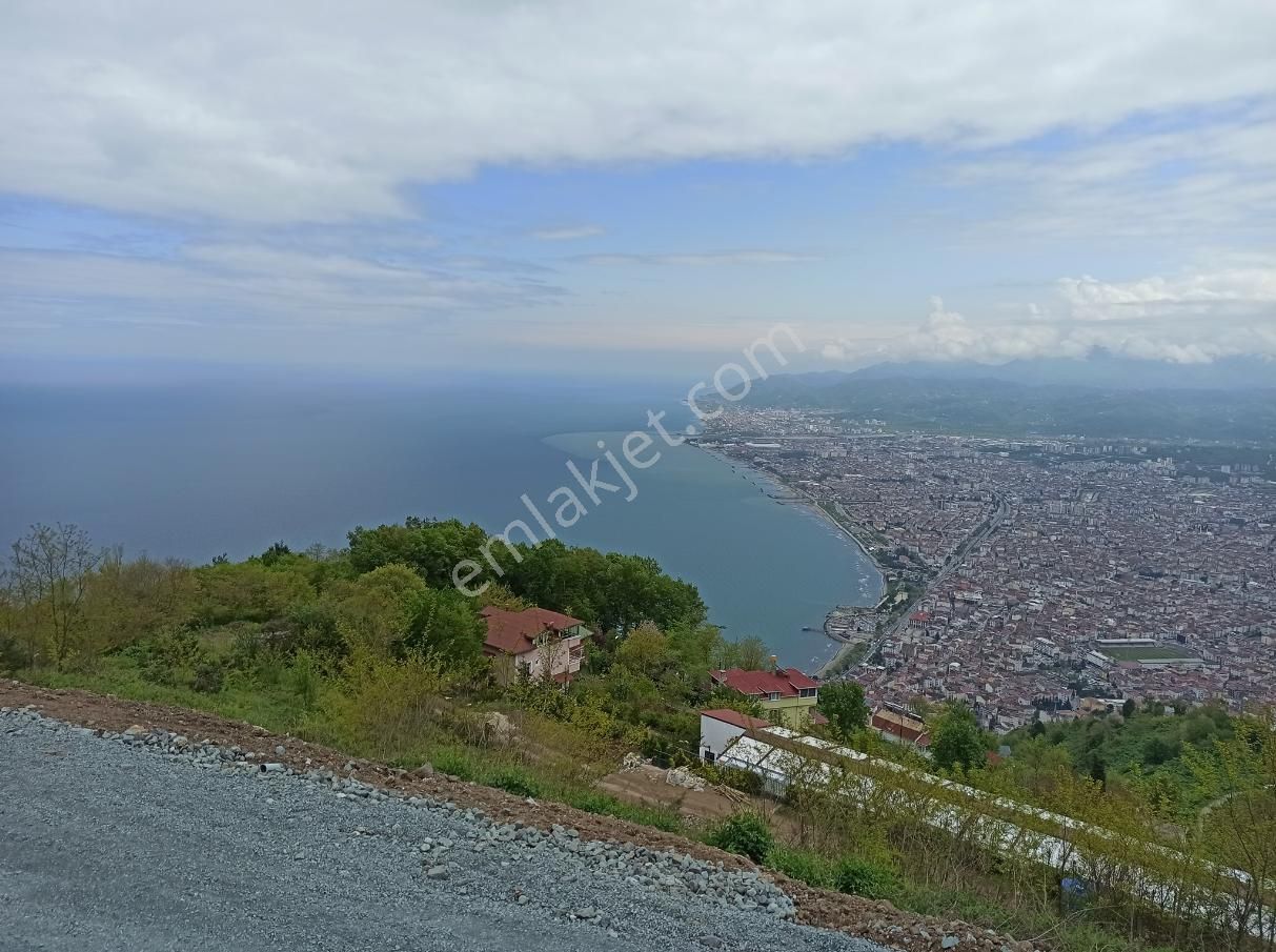 Gülyalı Kestane Satılık Konut İmarlı  ORDU GÜLYALI ARSA TAPU SAHİBİ PERTA EMLAK ÜMİT TAHMAZ