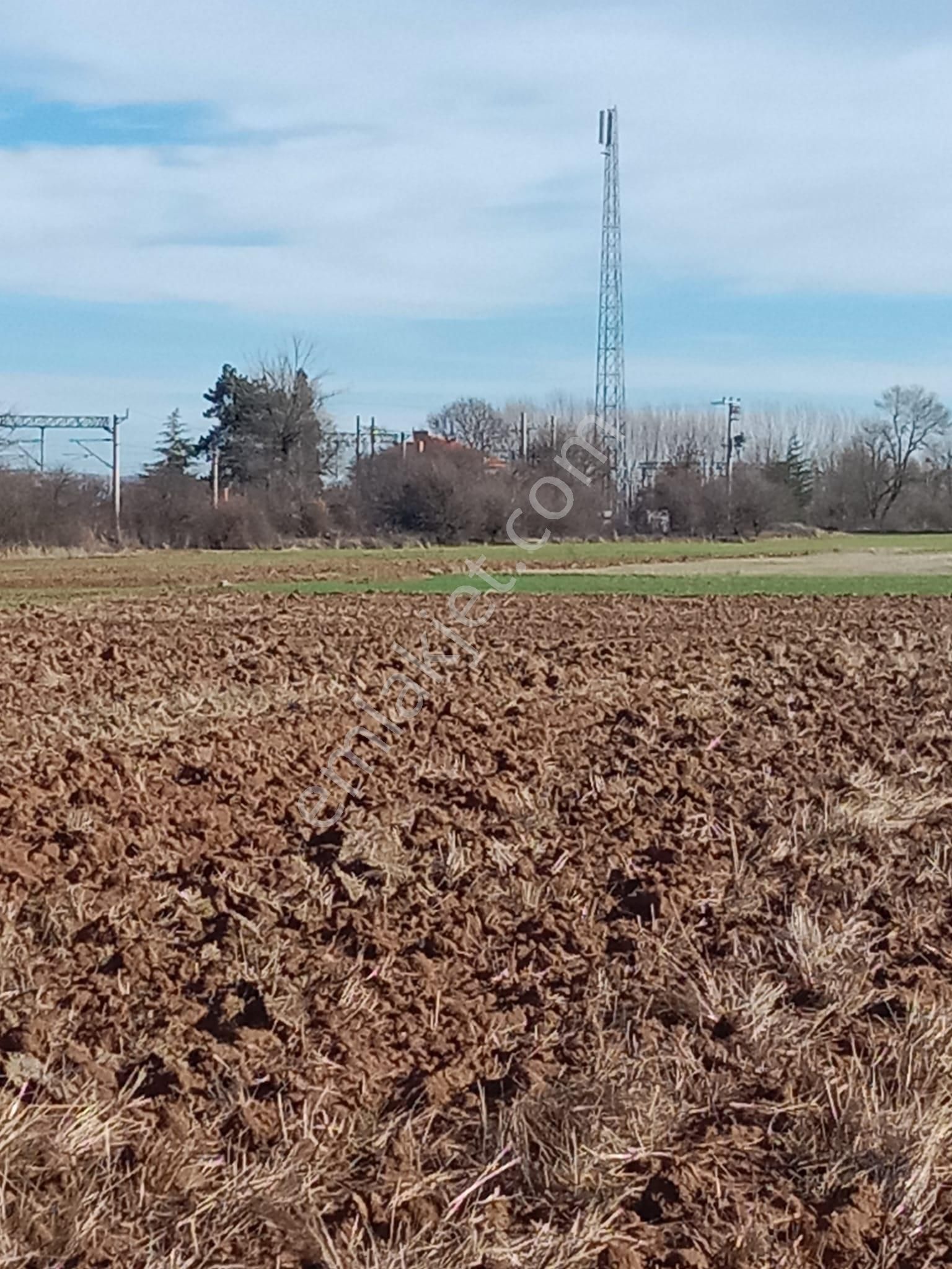 Kütahya Merkez Gümüşköy Köyü Satılık Tarla Kütahya Merkez Gümüşköy De 780m2 Tarla