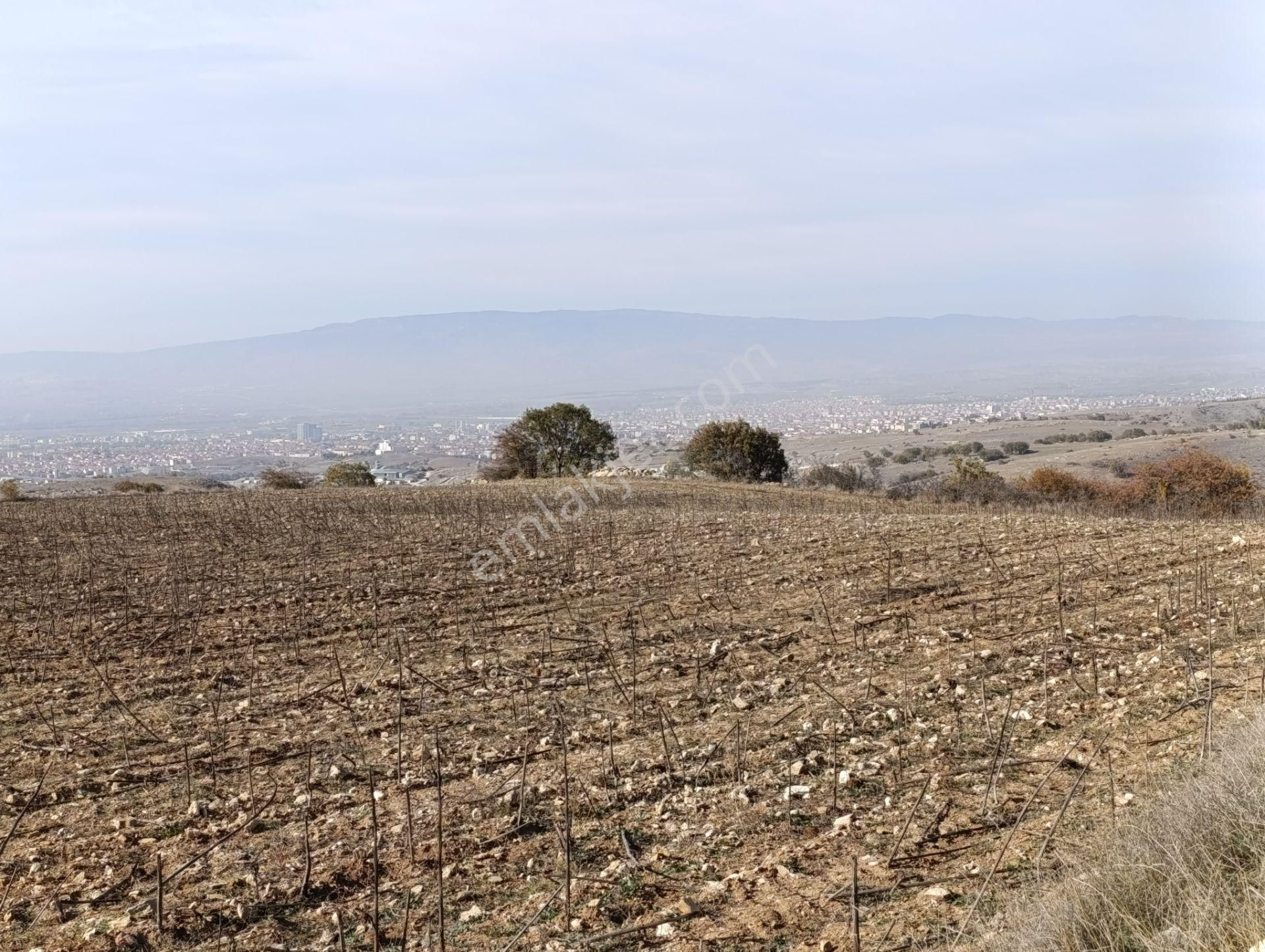 Çorum Merkez Eskiekin Köyü (Eskiekin Mücavir) Satılık Bağ & Bahçe  Çorum Merkez Kazıklı Kaya Köyünde Süper Manzaralı Parseller