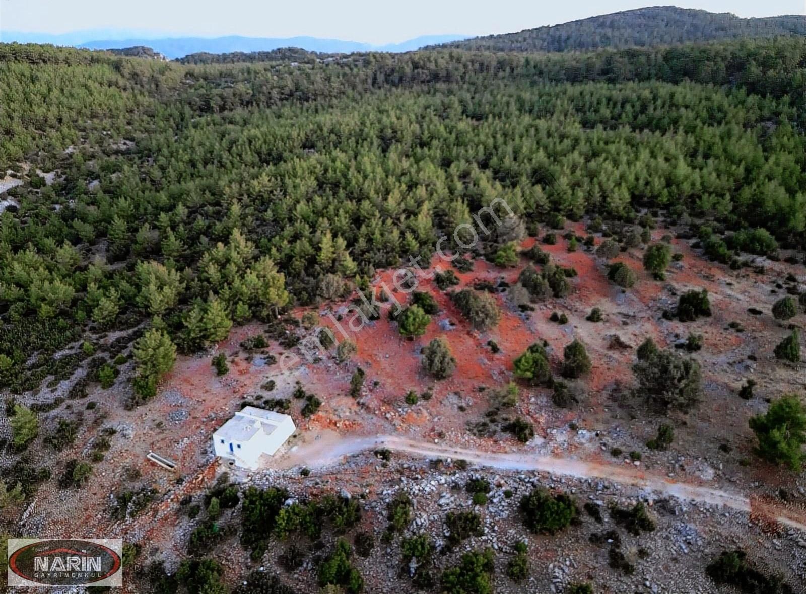 Menteşe Günlüce Satılık Tarla Muğla Menteşe Günlüce Resmi Yol Bol Manzara Ve Orman Havası