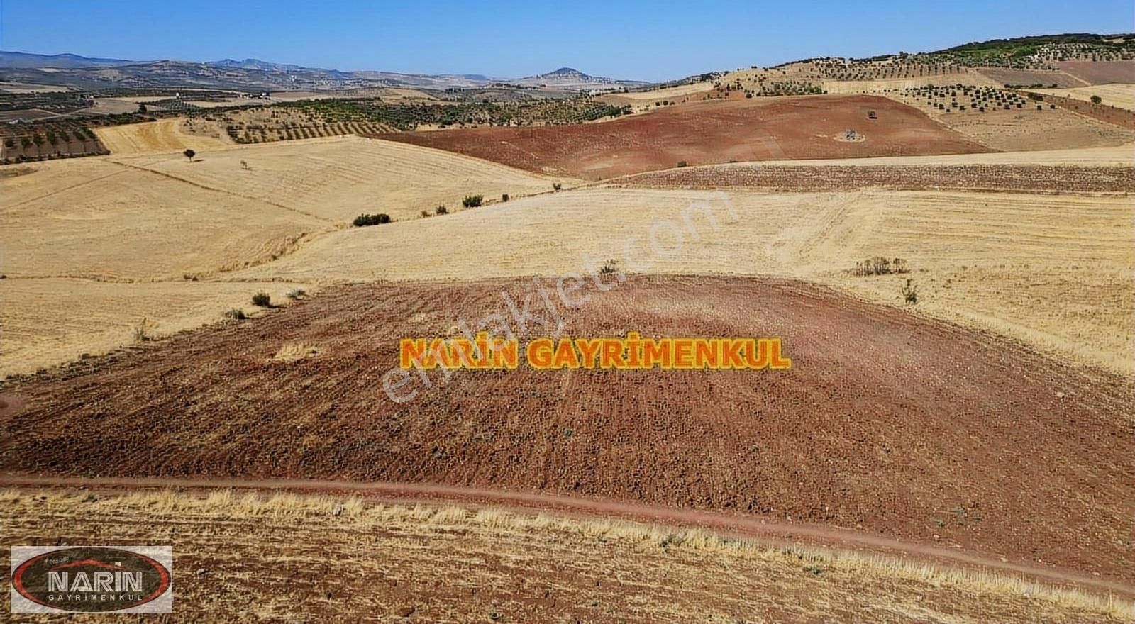 Şahinbey Yaycı Satılık Tarla Daire Takaslı- Şahinbey Yaycı Köyü Kadastro Yolu Var Kare Arazi