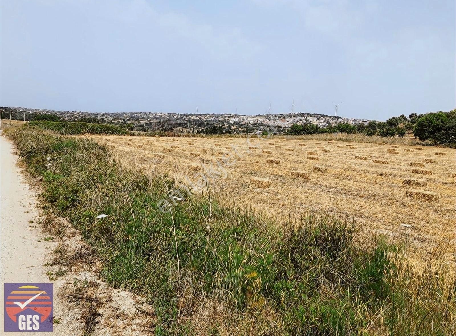 Çeşme Altınkum Satılık Tarla Çeşme Altınkumda muhteşem tarla