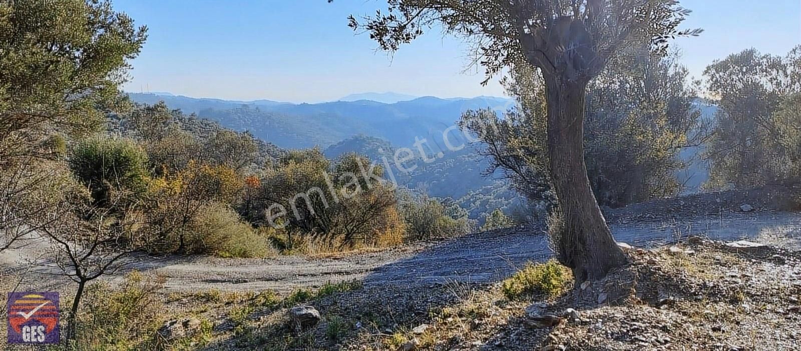 Seferihisar Gödence Satılık Tarla Gödence'de Köye Yakın 9.100m2 Satılık Müstakil Tarla