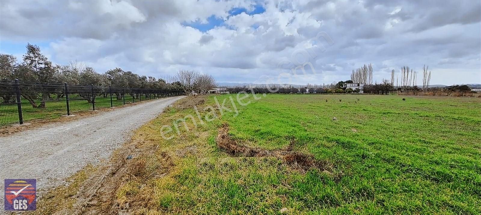 Seferihisar Turgut Satılık Tarla Yola Cepheli 5.840M2 Mükemmel Bir Arazi