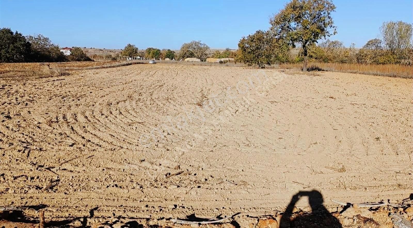 Kırklareli Merkez Dokuzhüyük Köyü Satılık Tarla Dokuzhöyük Köyünde Meyva Bahçesi