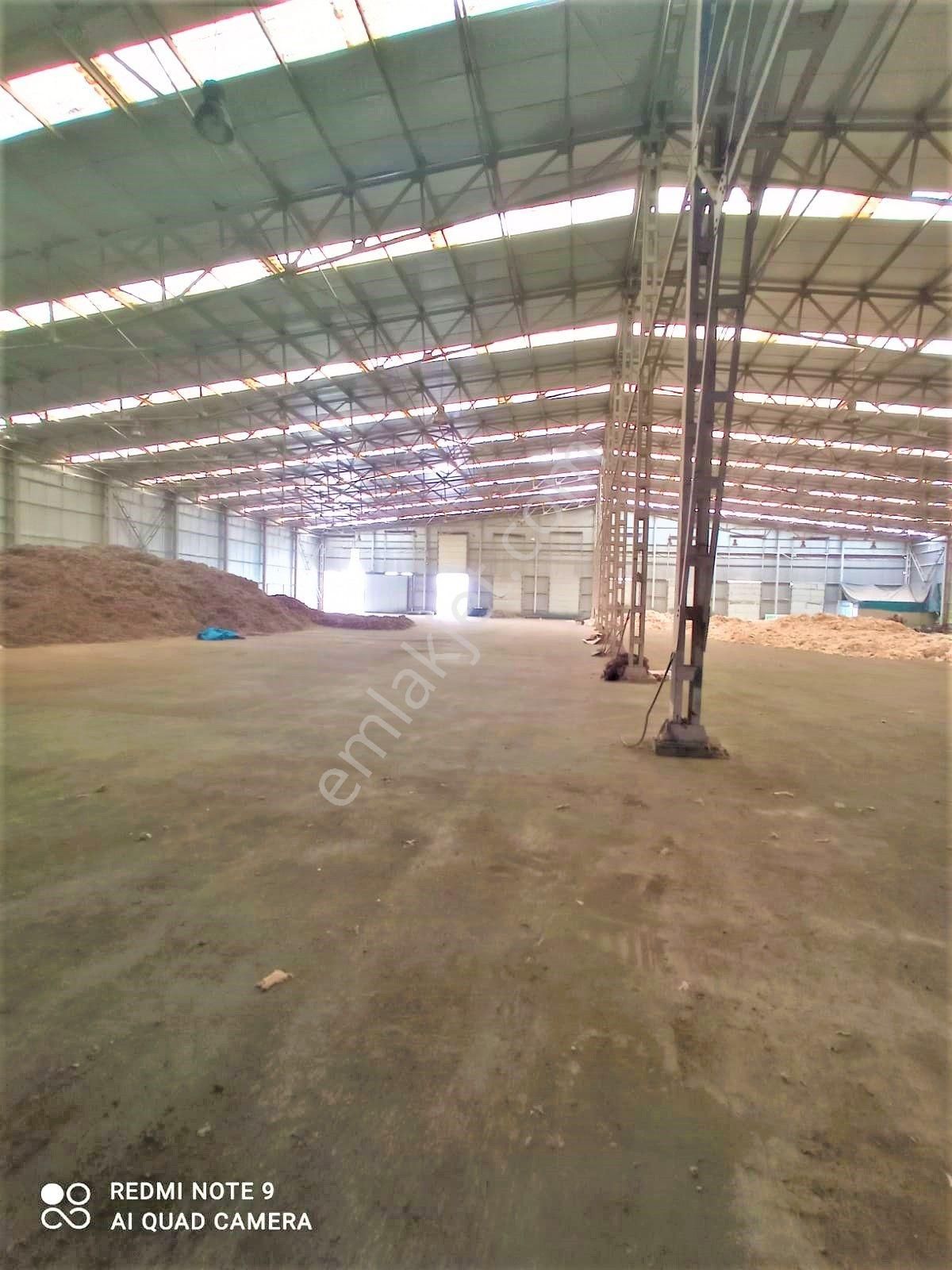 Zorlu Gayrimenkul'den Ceyhan'da 7500m2 Tavan Vinçli Aylık Kiralık Depo - Görsel 5