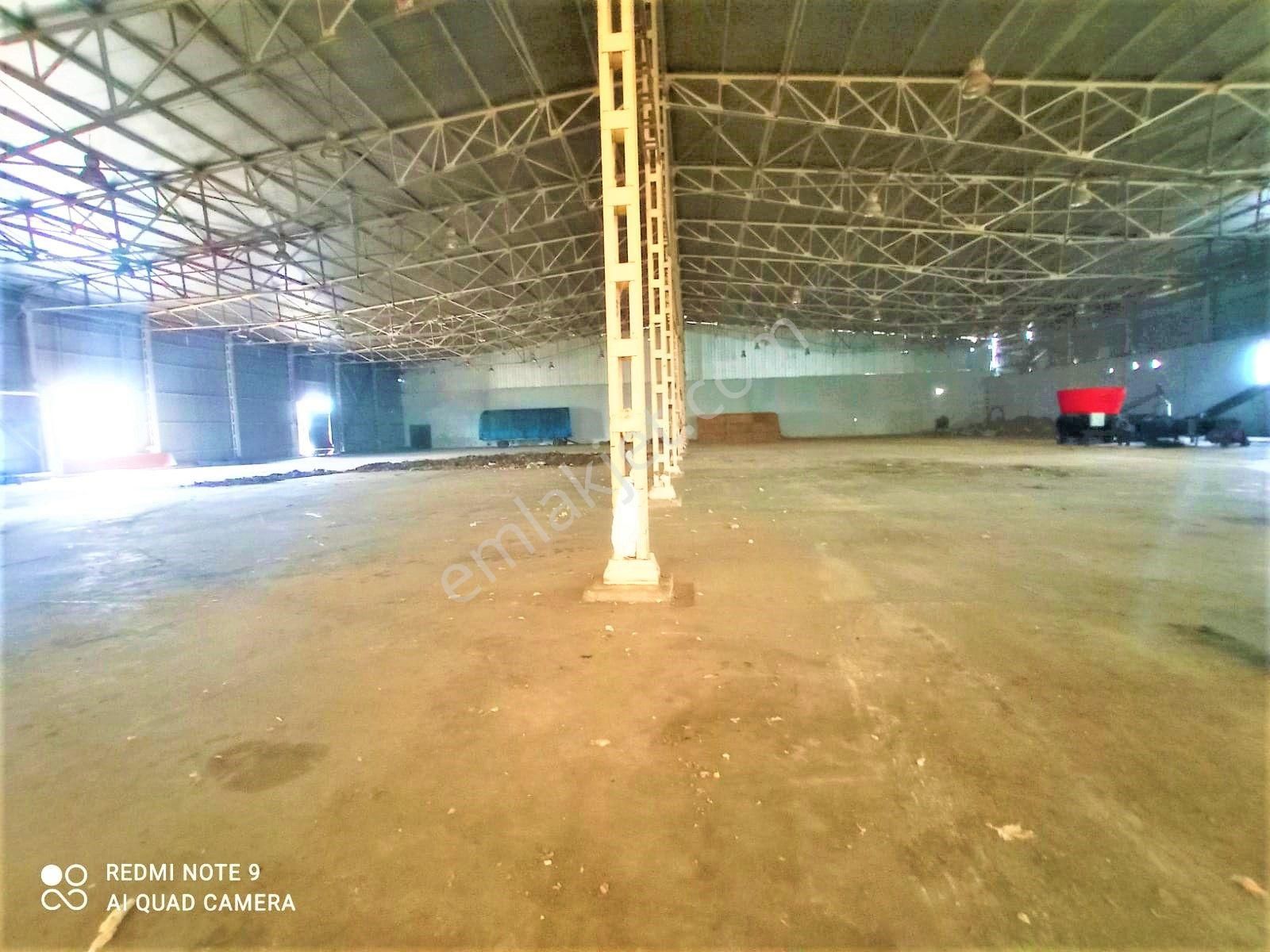 Zorlu Gayrimenkul'den Ceyhan'da 7500m2 Tavan Vinçli Aylık Kiralık Depo - Görsel 2