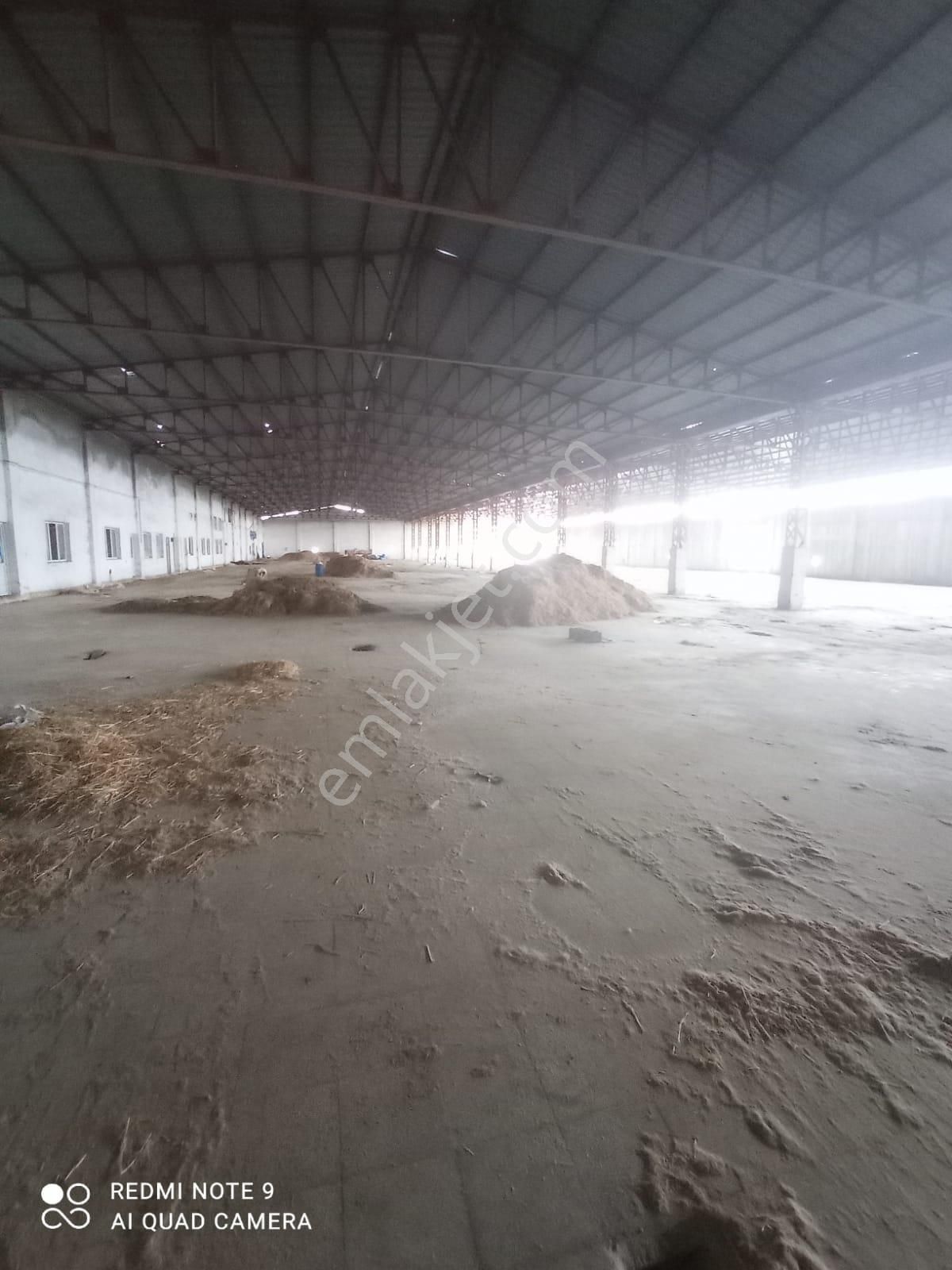 Zorlu Gayrimenkul'den Ceyhan'da 7500m2 Tavan Vinçli Aylık Kiralık Depo - Görsel 9