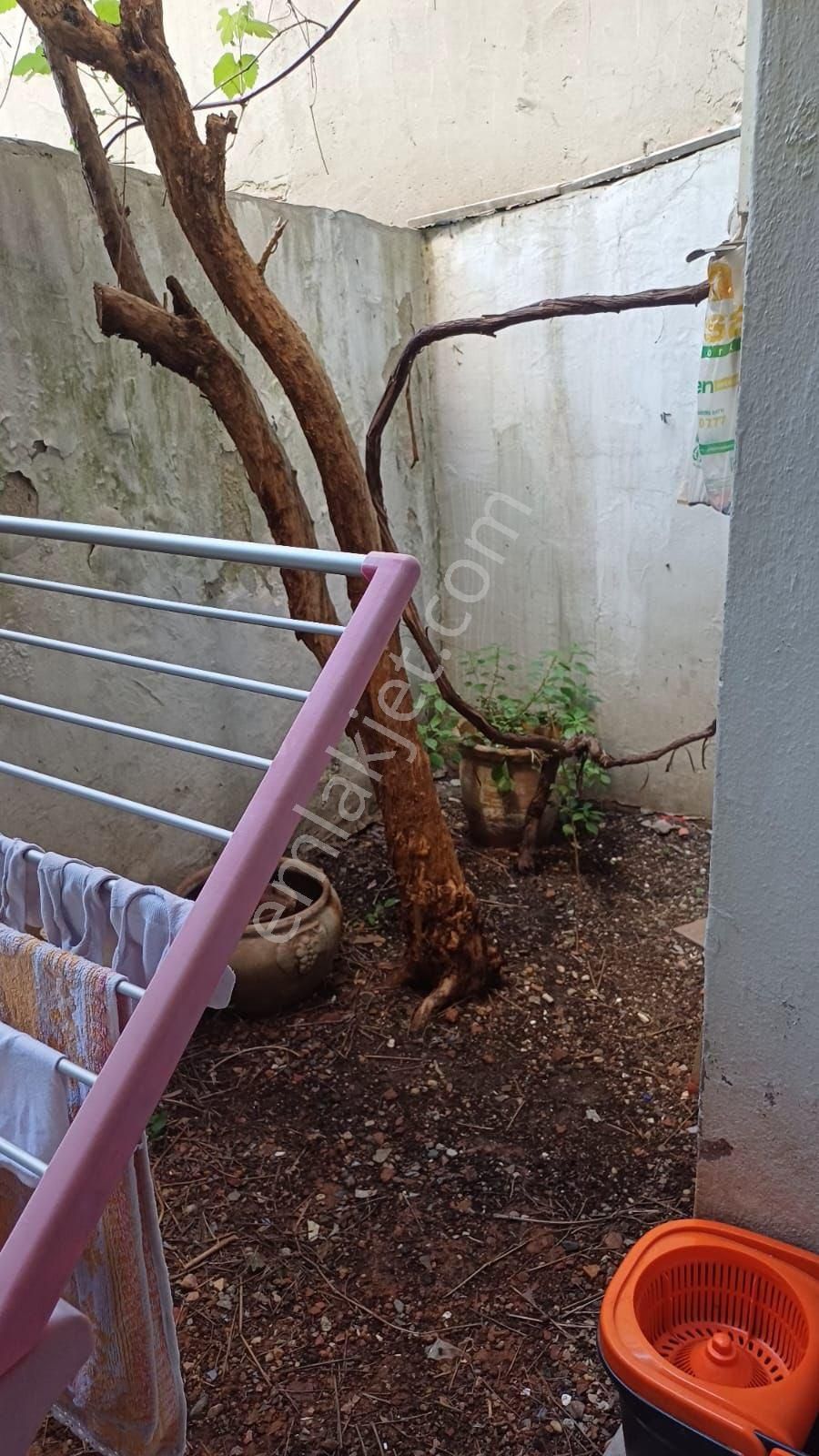 Demir Deluxe__ortaköy Satılık Bina__airbnb Uygun - Görsel 12