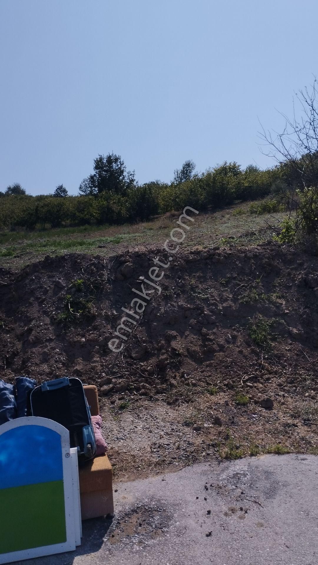 Düzce Merkez Çakırlar Satılık Konut İmarlı Satılık Fındıklık Düzce Merkez Çakırlar mahallesinde Uzunlar Emlak'tan