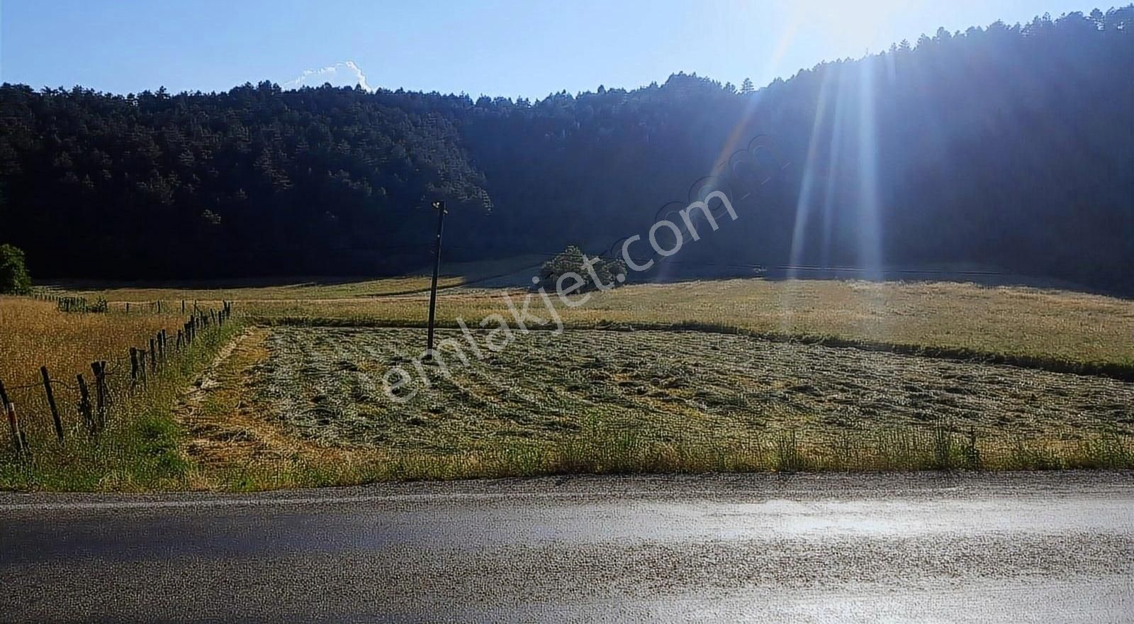 Bolu Merkez Taşçılar Köyü (Siyamoğlu) Satılık Tarla BOLU TAŞÇILAR'DA 796 M2 SATILIK