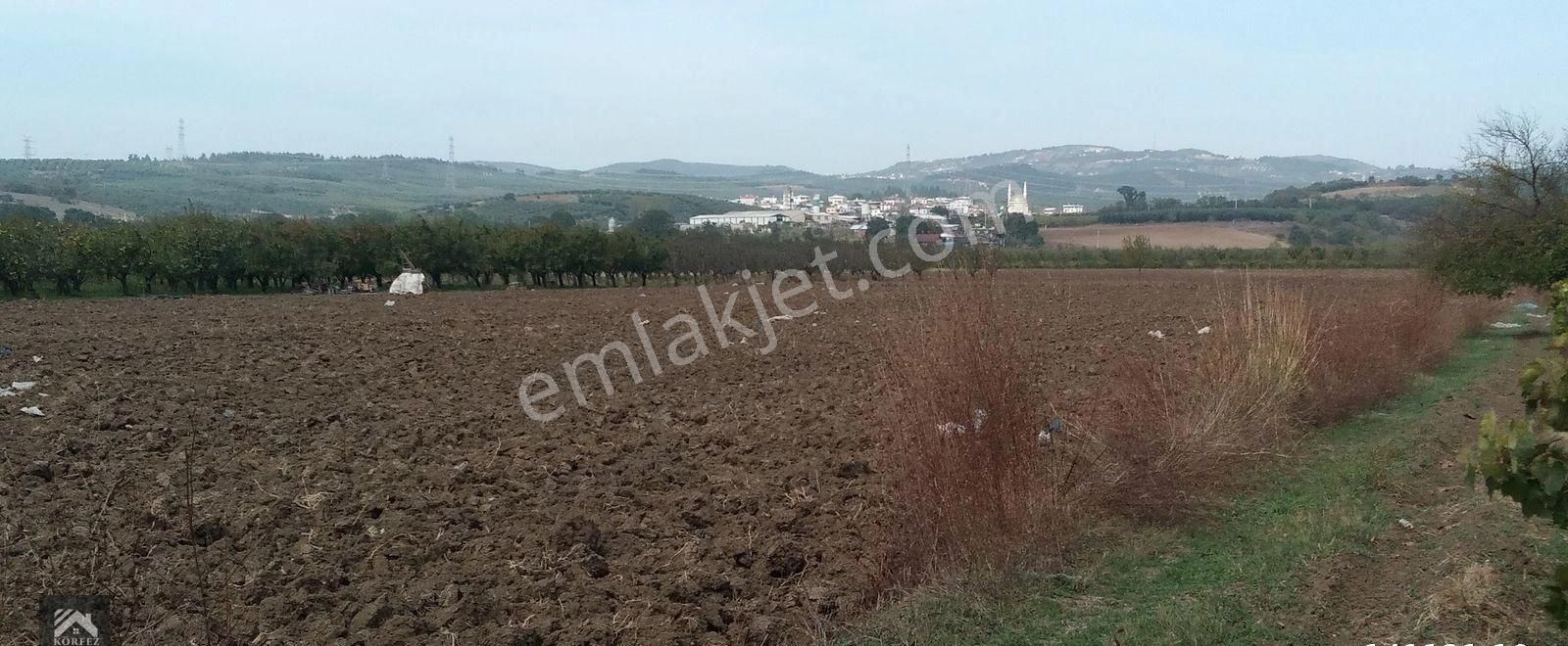 Mudanya Hasanbey Satılık Tarla SATILIK DEV TARLA