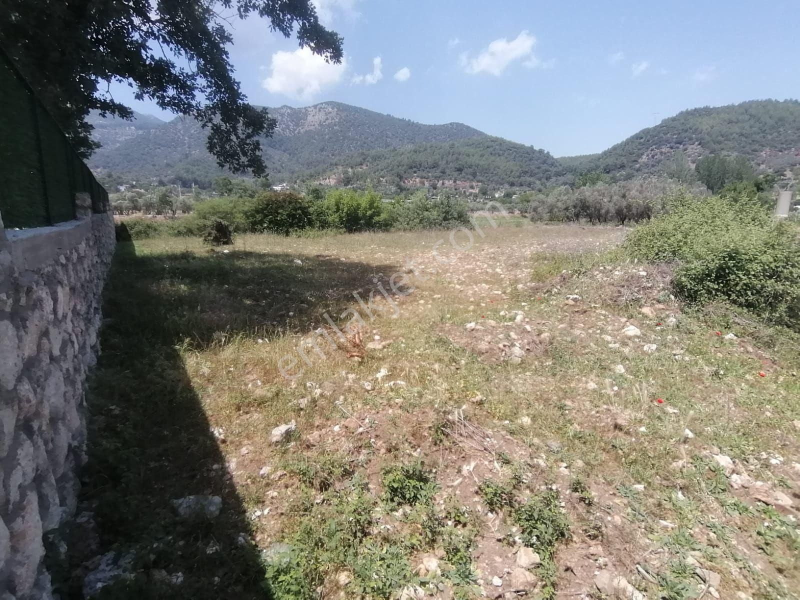 Fethiye Taşyaka Satılık Tarla Seydikemer Kabaagaç Da 1080 M2 Satılik Tarla