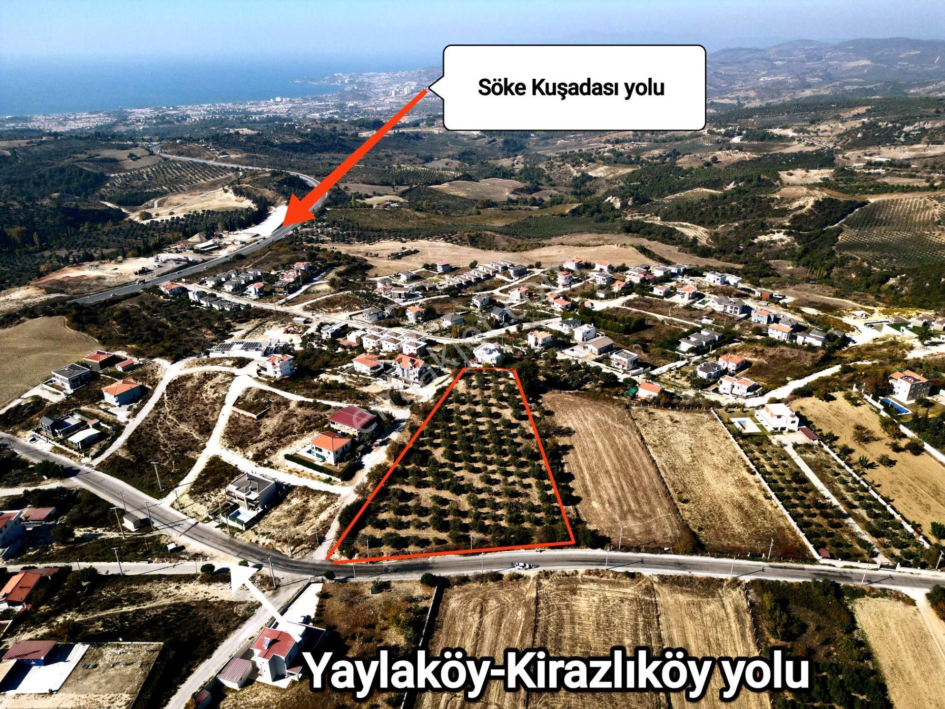 Kuşadası Yaylaköy Satılık Zeytinlik Kuşadası Yaylaköy'de Anayola Sıfır Satılık 7 Dönüm Zeytinlik