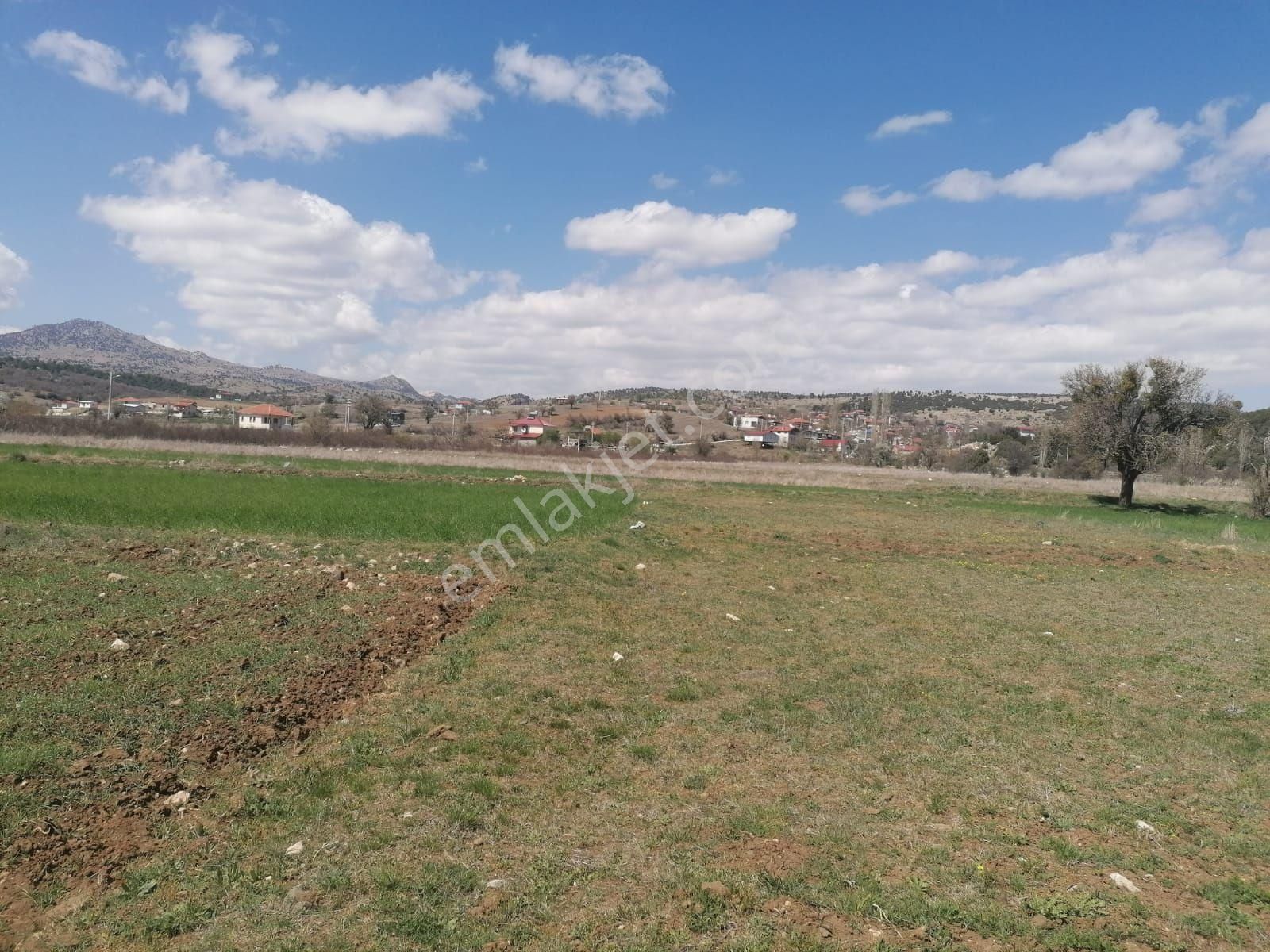 Seydikemer Çobanisa Satılık Tarla Yayla Cobinisada Yatırımlar Tarla