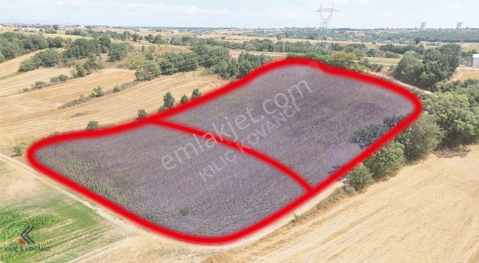 Lüleburgaz Hamitabat Köyü Satılık Tarla Kılıç Kovancı Lüleburgaz Hamitabat Satılık 13.800 M² Tarla