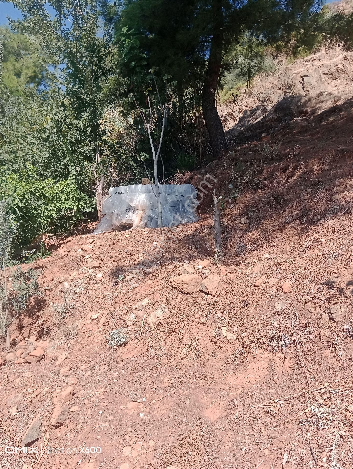 Ortaca Bahçelievler Satılık Arsa - Görsel 24