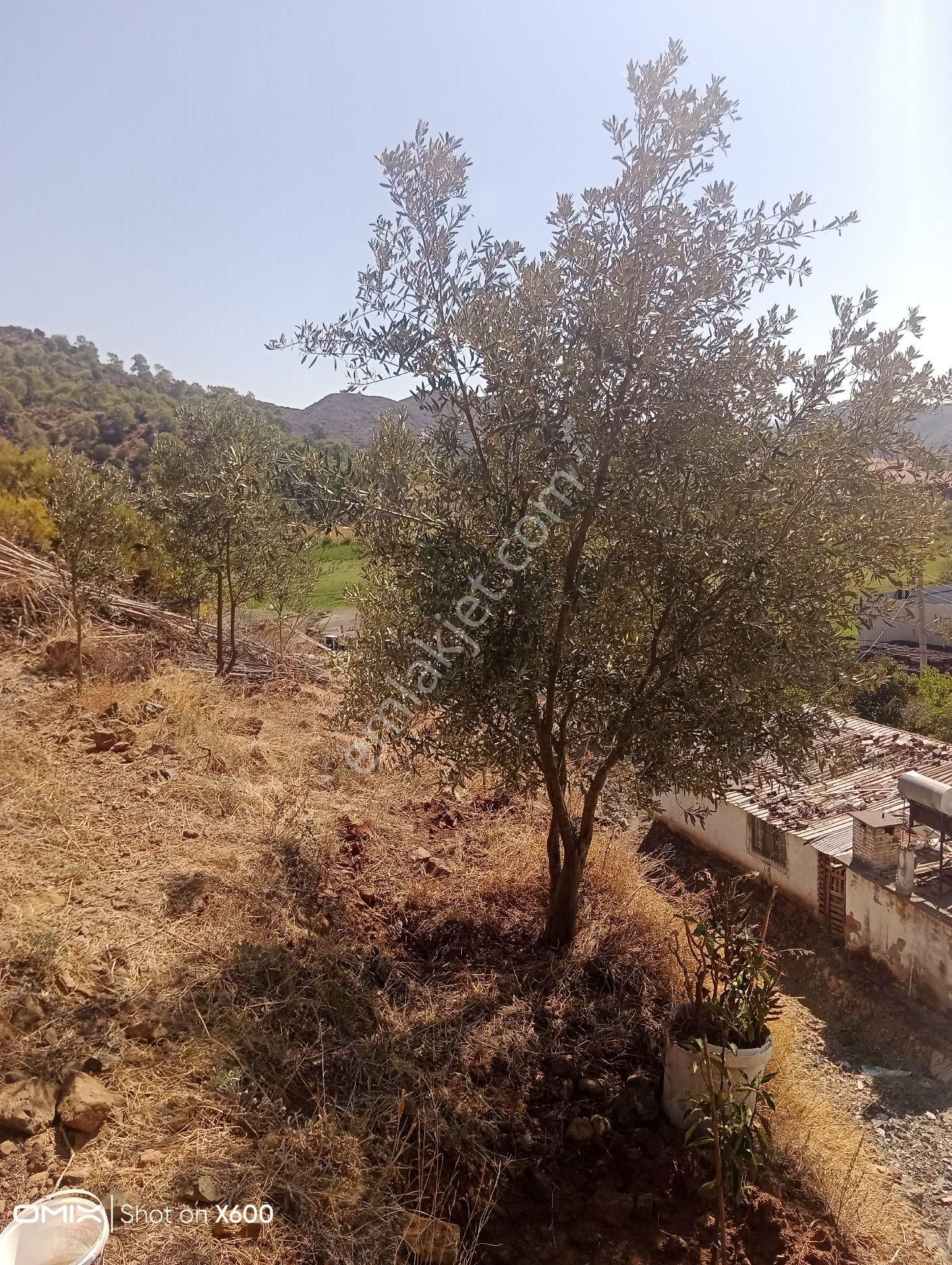 Ortaca Bahçelievler Satılık Arsa - Görsel 23