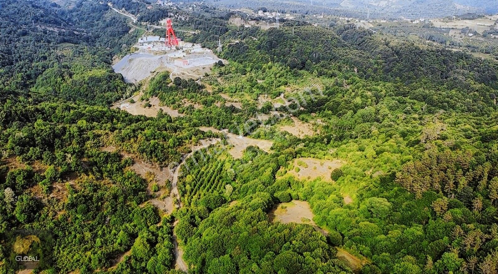 Bartın Merkez Kaman Köyü (Merkez) Satılık Tarla AMASRA KAZPINARI KÖYÜNDE SATILIK ARSA