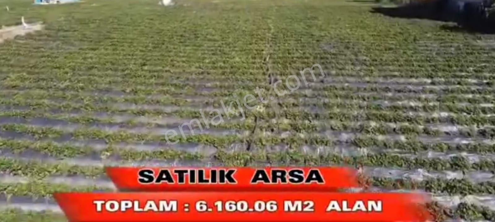 Altınordu Kayabaşı Satılık Tarla 654- KAYABAŞI  MAHALLESİN'DE  SATILIK  DÜZ  EĞİMSİZ KAT KARŞILIĞI ARSA