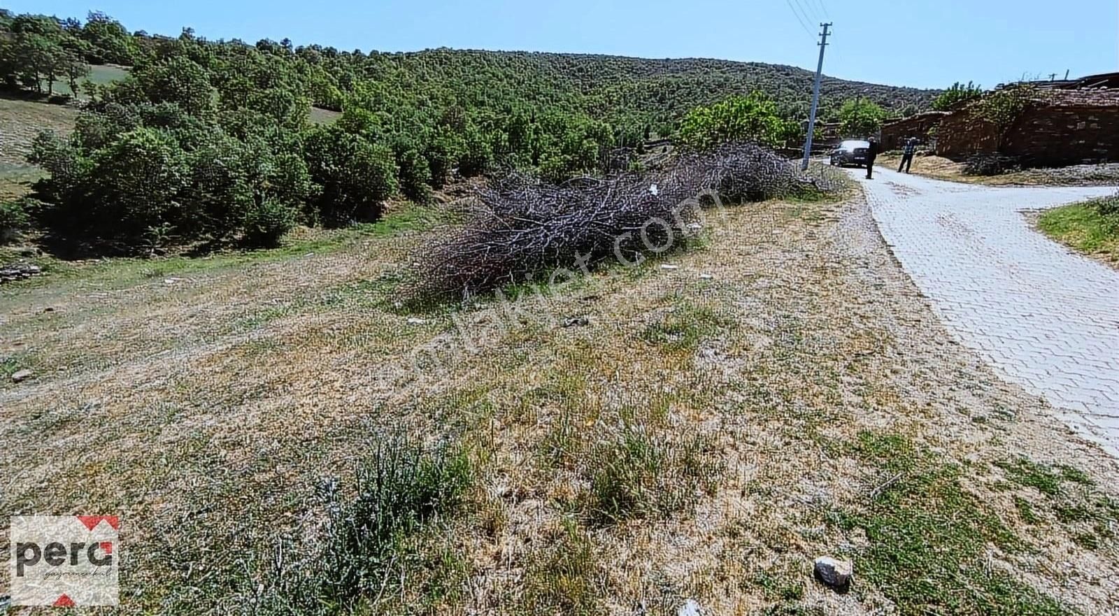 Eşme Alahabalı Köyü (Palalı) Satılık Tarla PERA'DAN UŞAK EŞME ALAHABALI'DA YATIRIMLIK ARSA