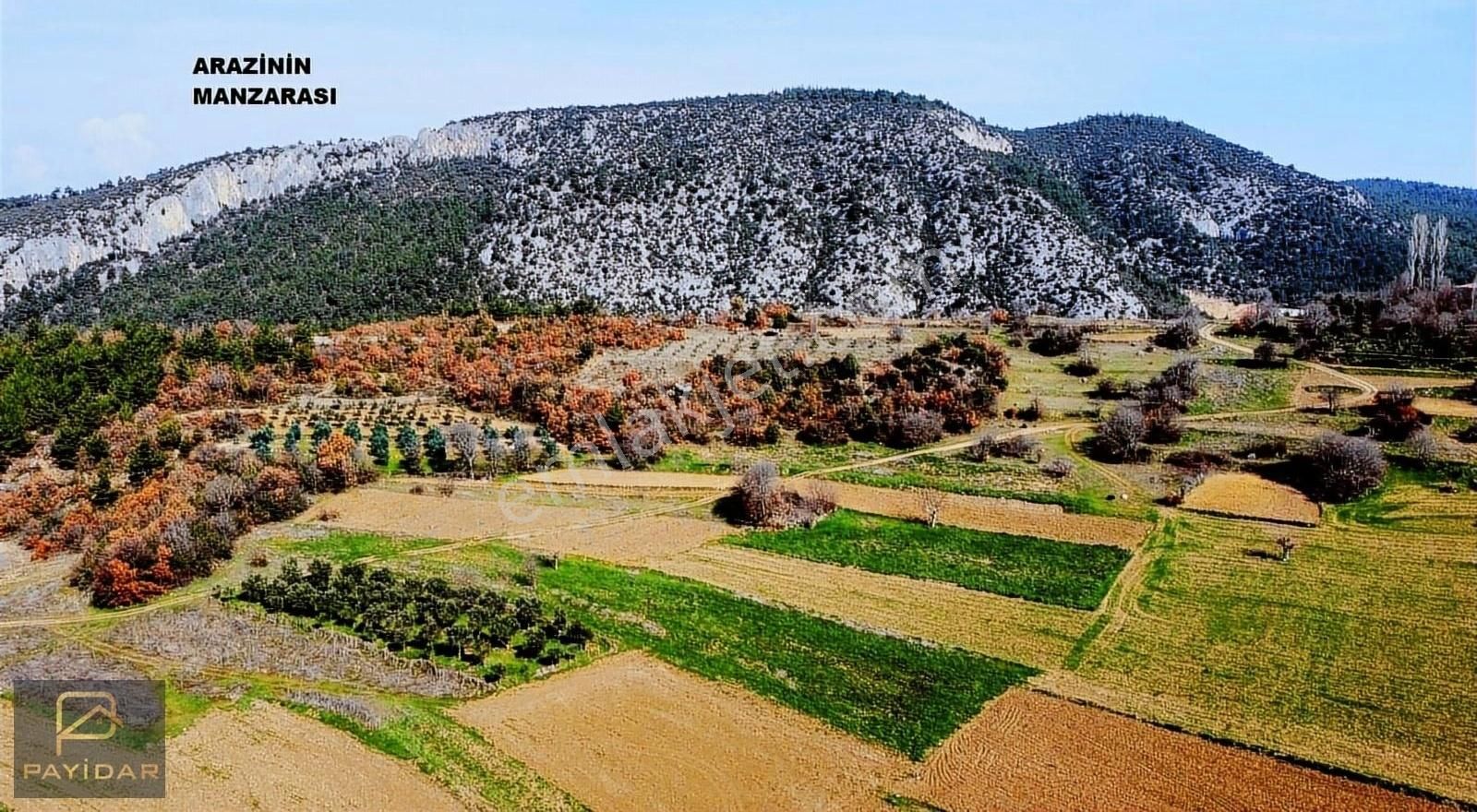 Gölpazarı Söğütcük Köyü Satılık Tarla Yerleşime Yakın , Resmi Yola Yakın , 967 M2 Arazi Fırsat!