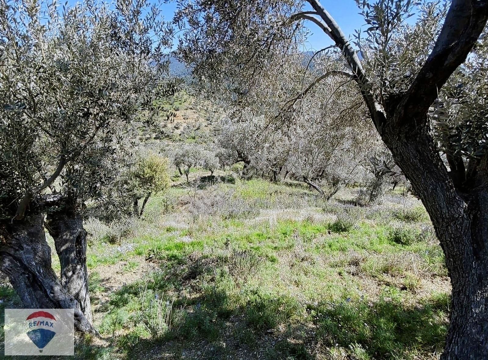 Seferihisar Gödence Satılık Tarla Seferihisar'da 2417m2 Satılık Tarla