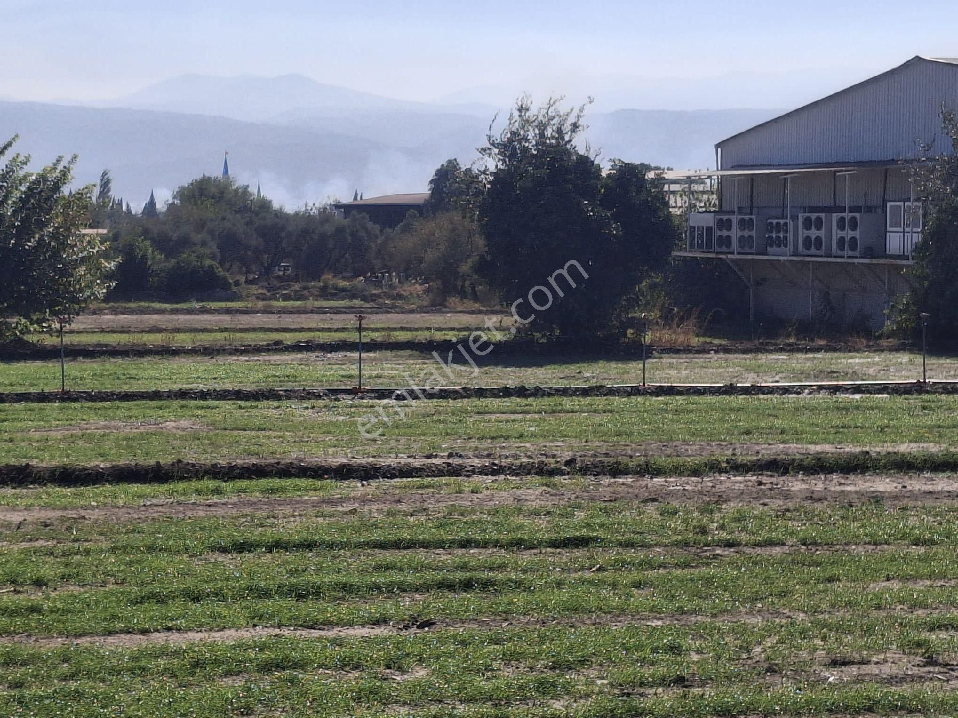 Sultanhisar Eskihisar Satilik Bahçe - Görsel 11