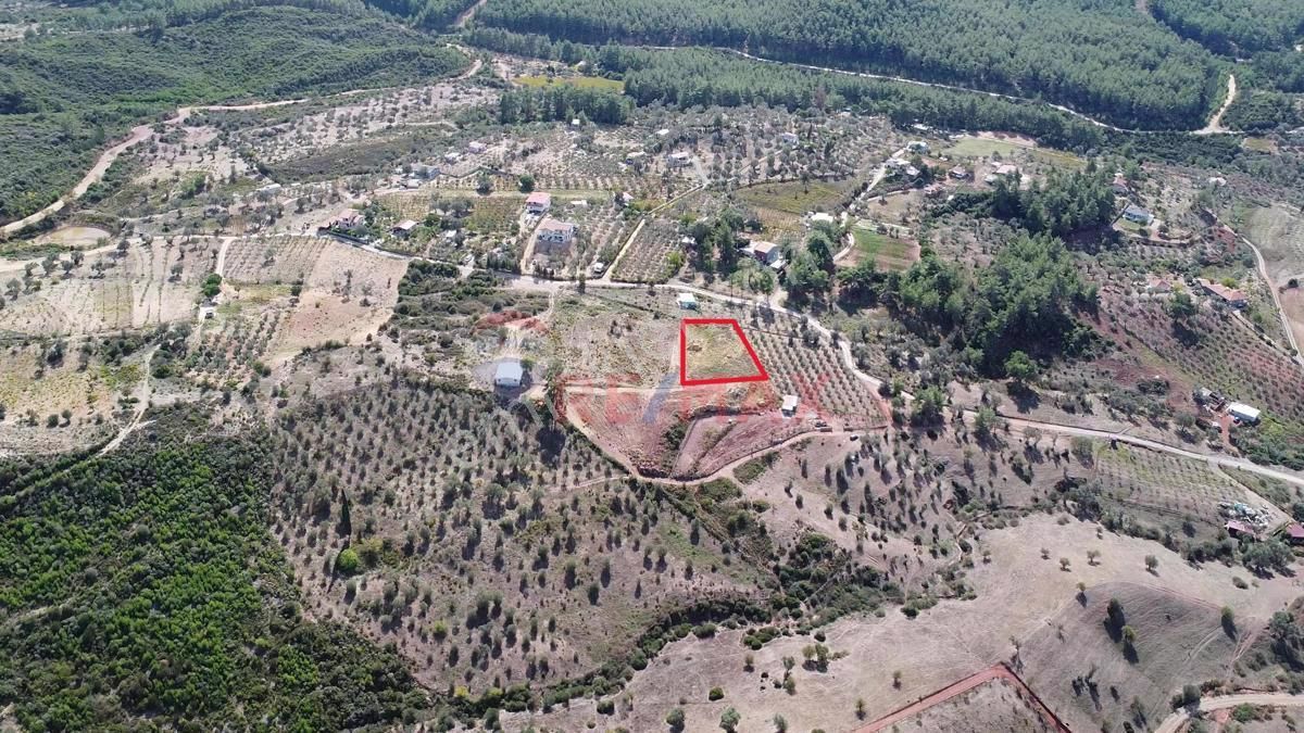 İzmir Seferihisar Orhanlı Köyü’nde Satılık Müstakil Parsel Arazi - Görsel 21