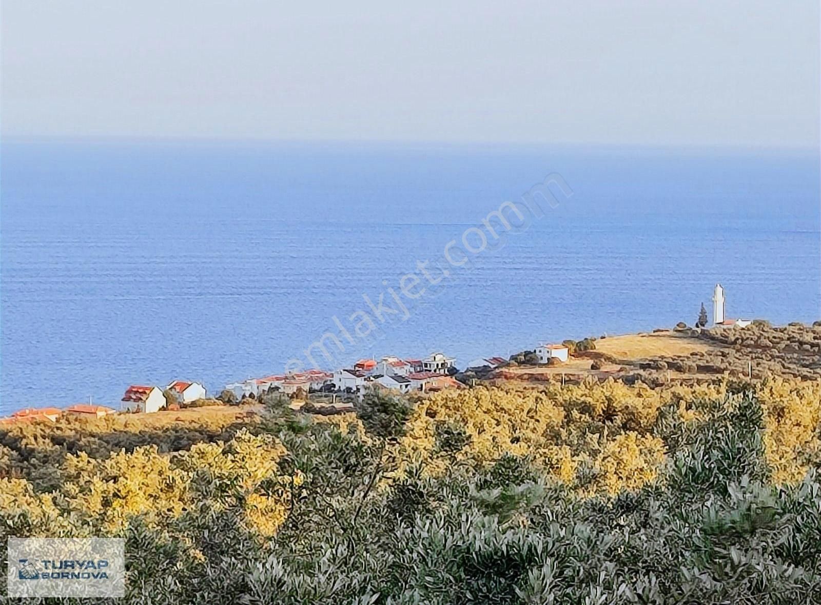 Şarköy Hoşköy Satılık Bağ & Bahçe Şarköy De Deniz Manzaralı Arsa