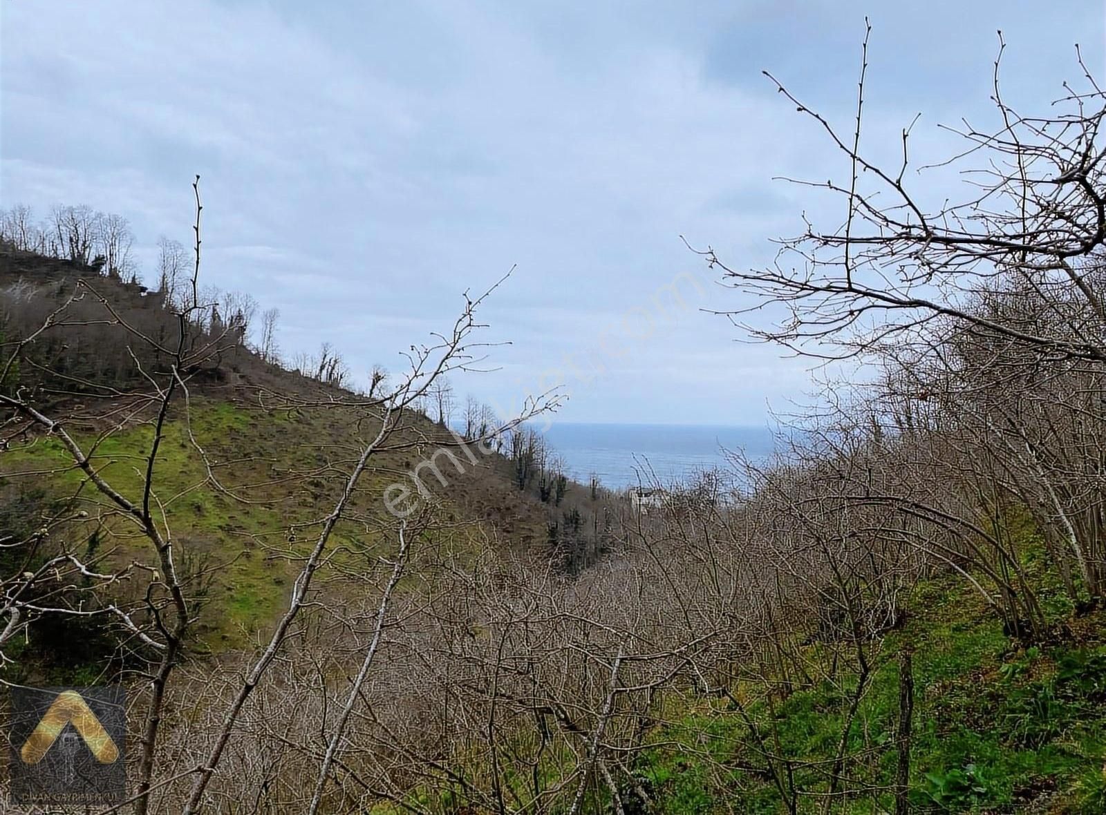 Perşembe Çaytepe Satılık Bağ & Bahçe DİVAN GAYRİMENKUL PERŞEMBE ÇAYTEPE MAH 410 M2 SATILIK ARSA