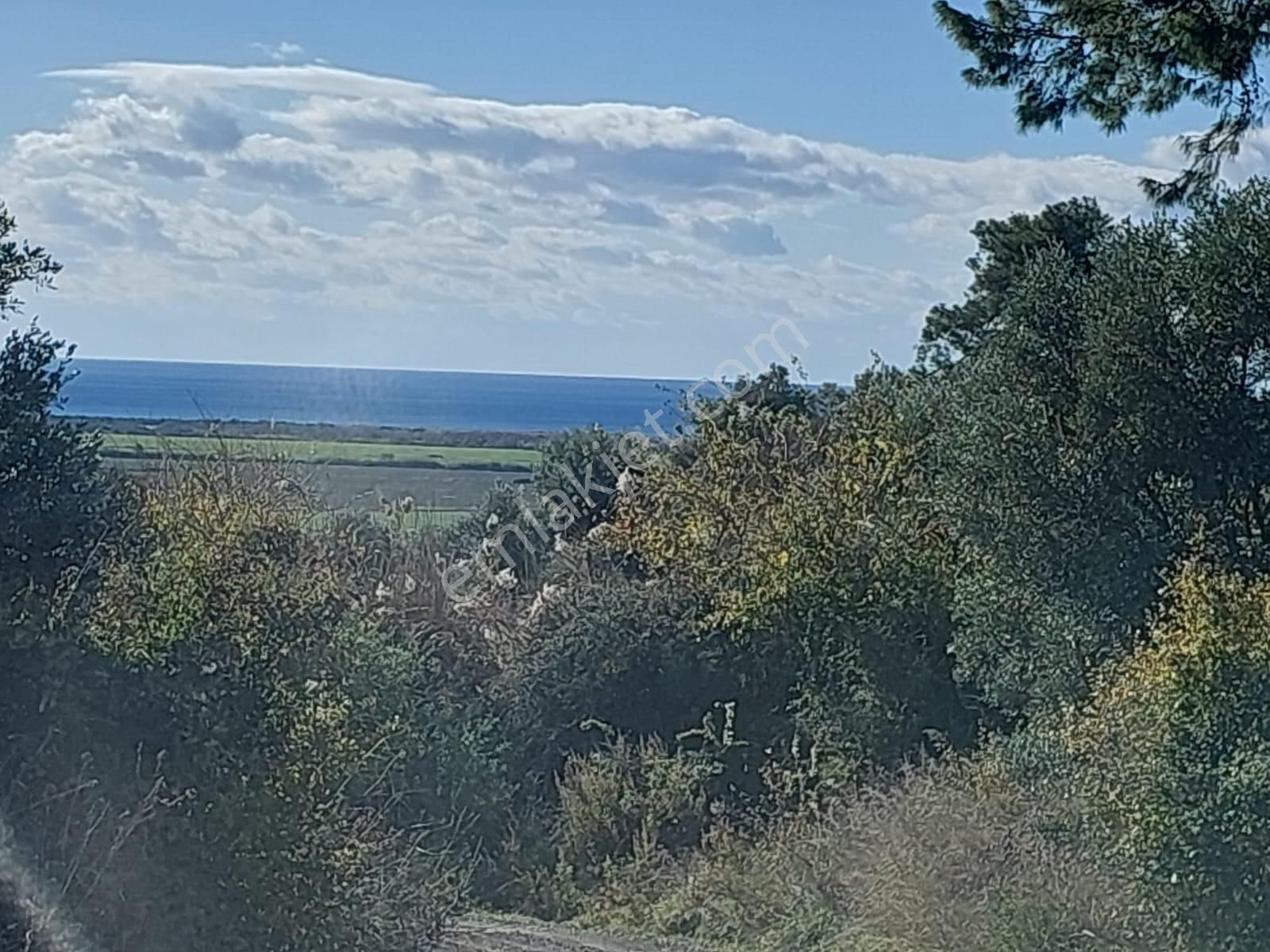 Ortaca Fevziye De Full Deniz Manzaralı 9 700 M2 Yatırıma Uygun Arazi Satılık - Görsel 8