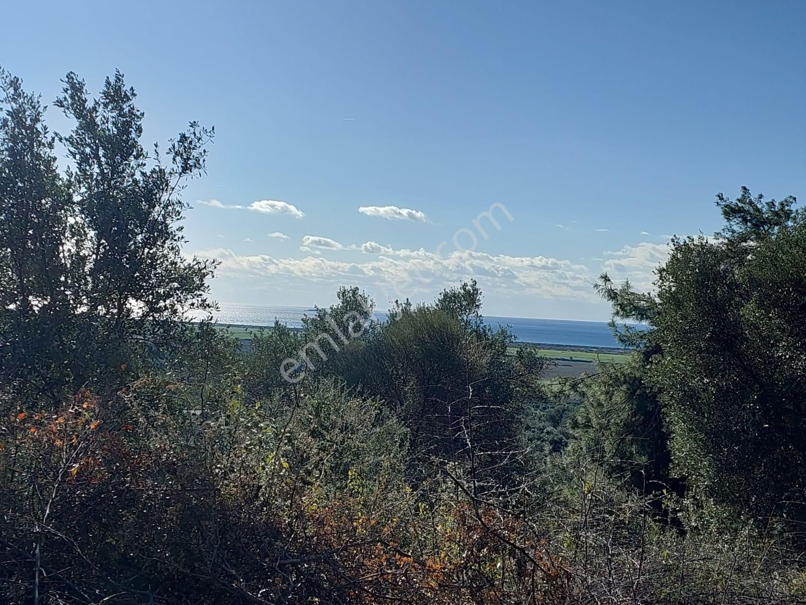 Ortaca Fevziye De Full Deniz Manzaralı 9 700 M2 Yatırıma Uygun Arazi Satılık - Görsel 2