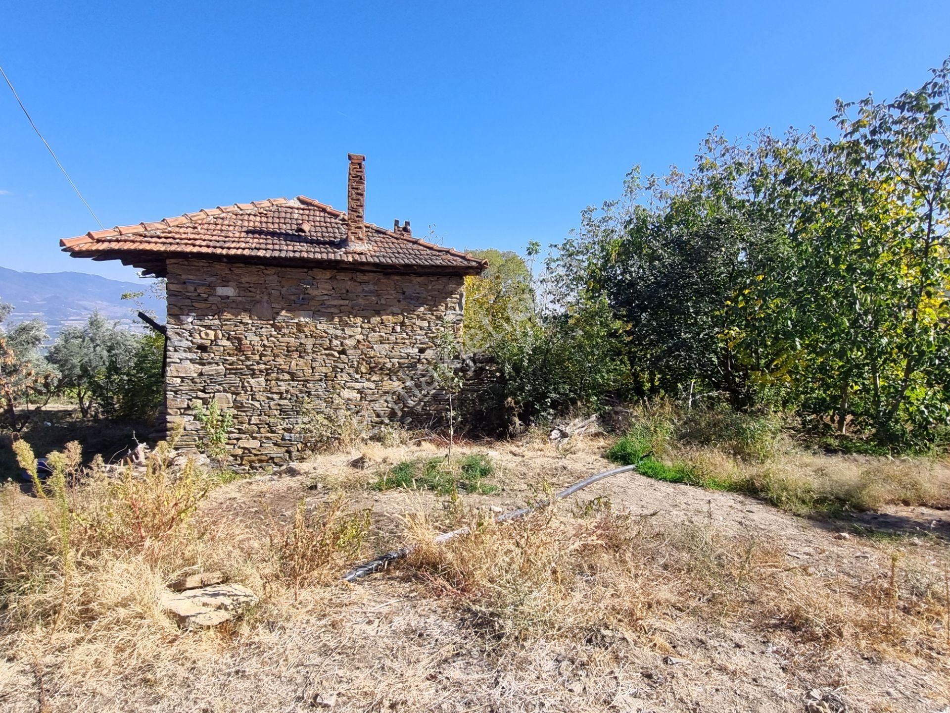 Bozdoğan Çamlıdere Satılık Tarla AYDIN NAZİLLİ YÖNTEM EMLAKTAN BOZDOĞAN ÇAMLIDERE(SİPAHİLER) MAH.DE SATILIK MÜSTAKİL EV VE BAHÇE